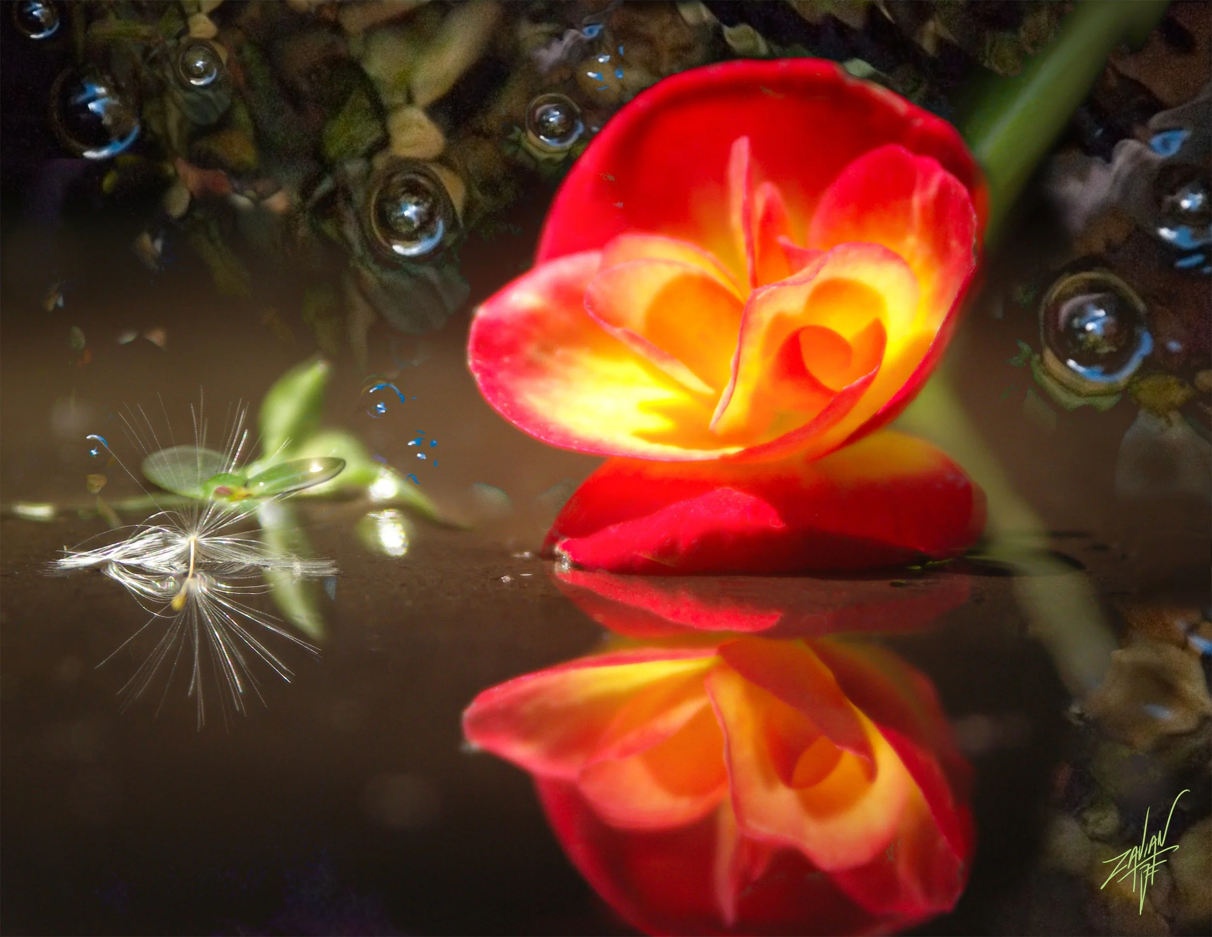 Celestial Botanicals #18