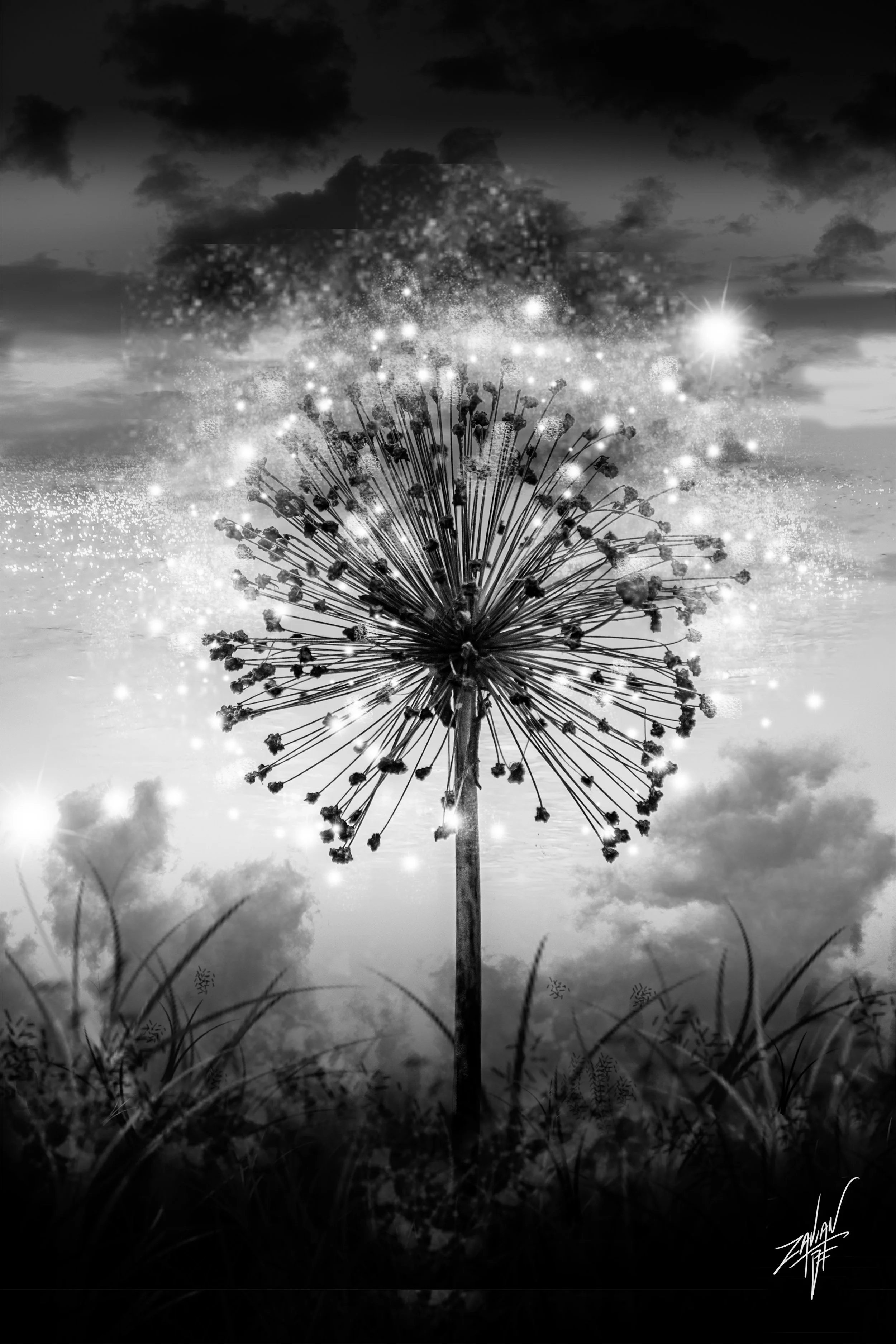 Celestial Botanicals Single Allium