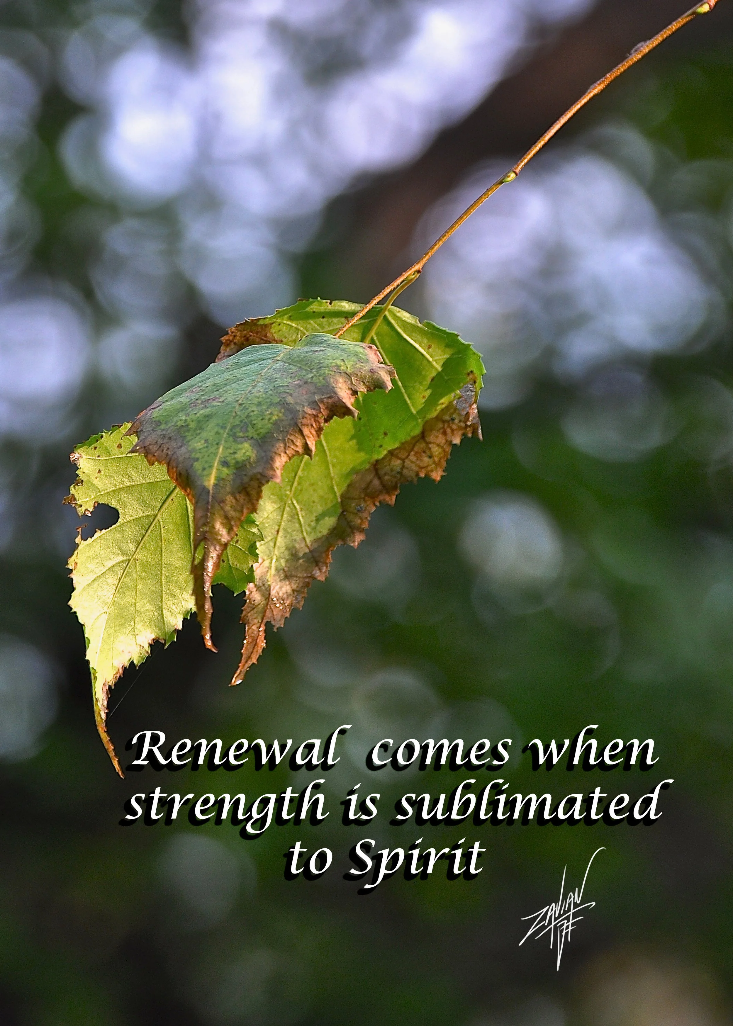 Renewal