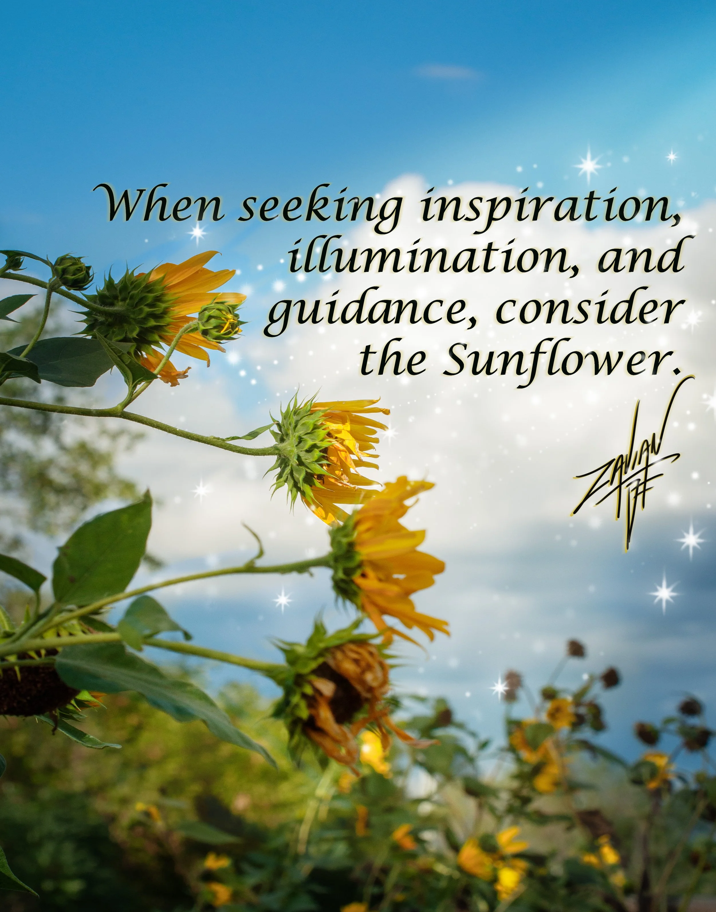 Sunflower Inspiration