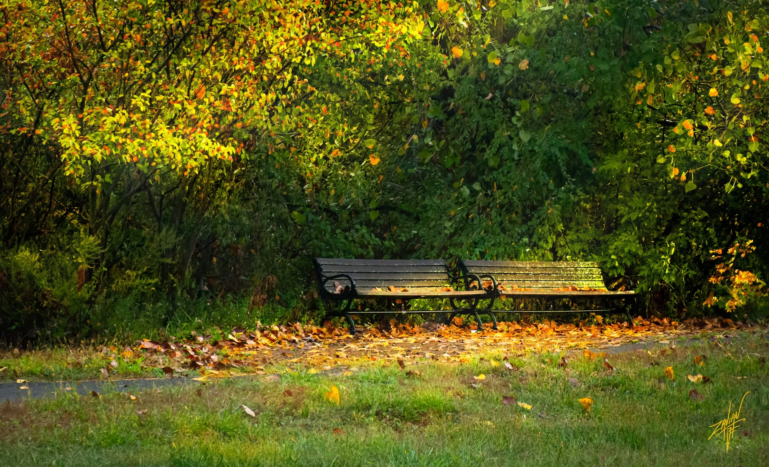 Hidden Autumn Benches
