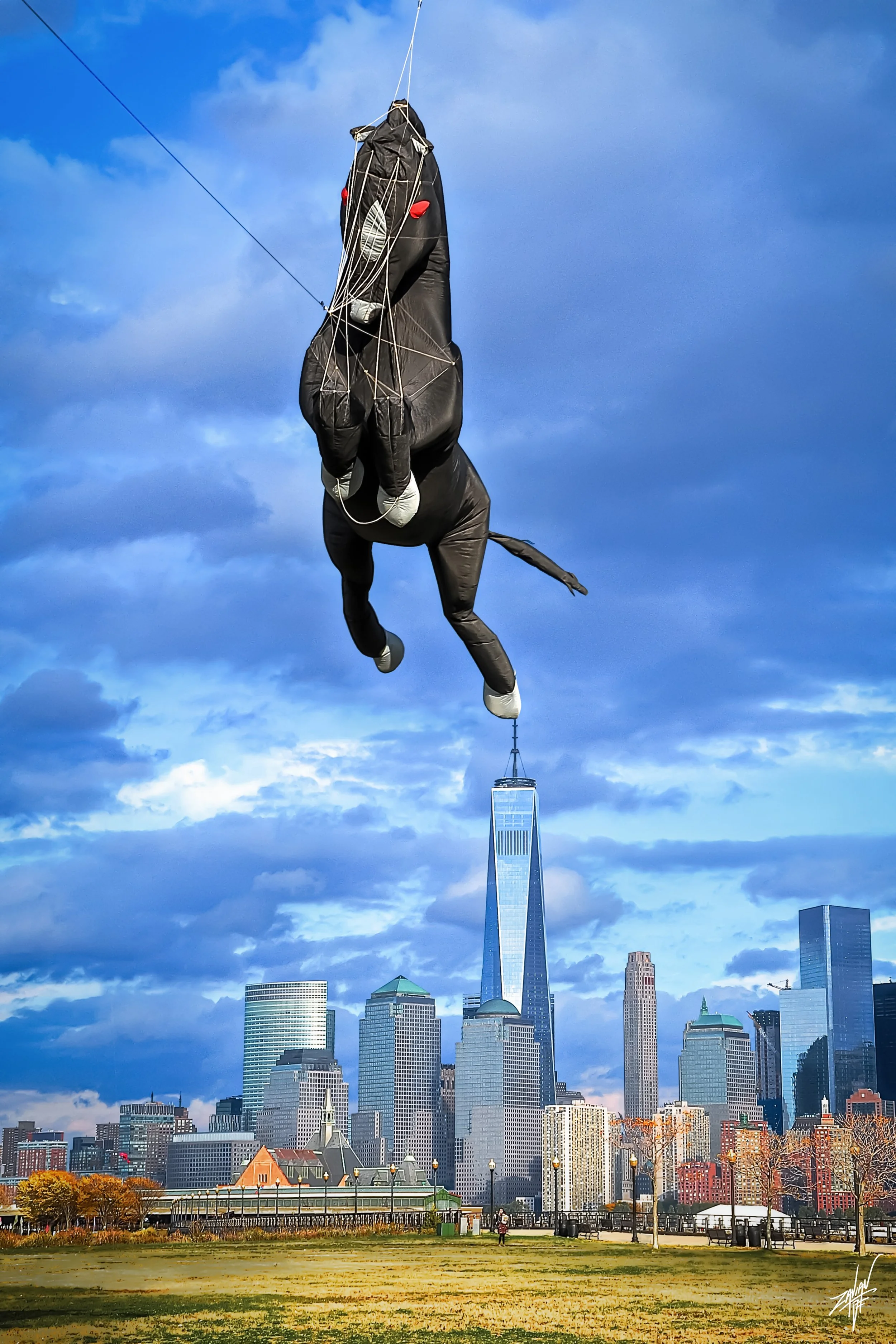 Black Horse Kite Over LSP