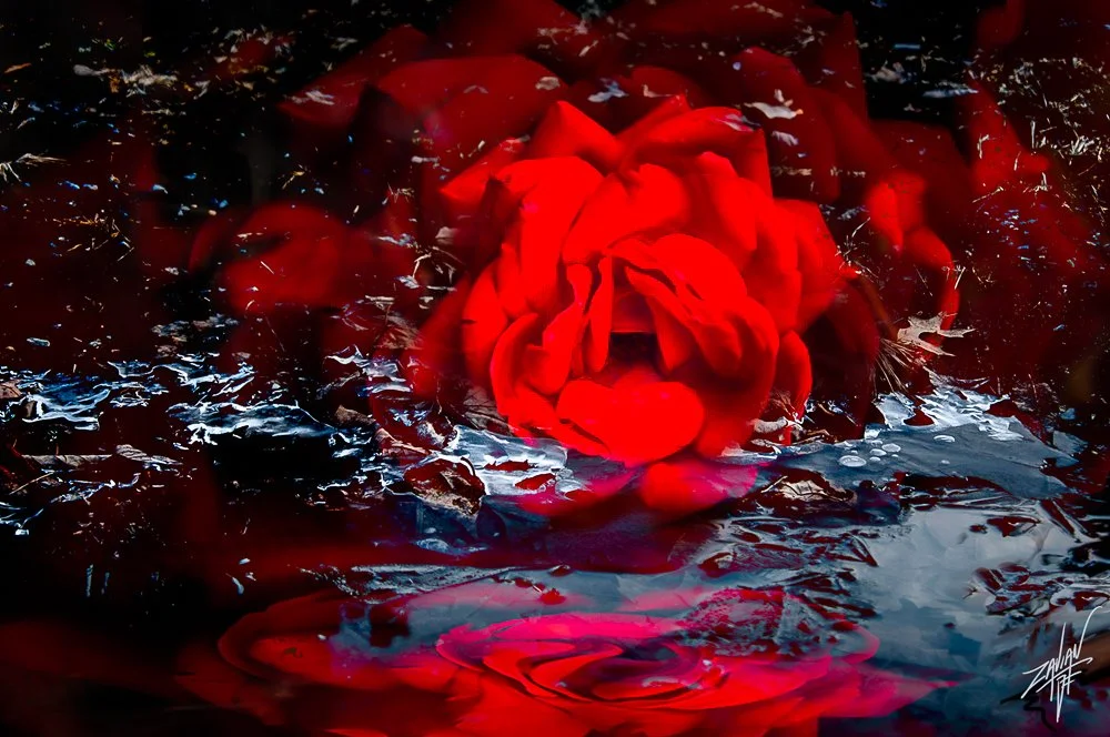 Celestial Botanicals Series #16-.jpg