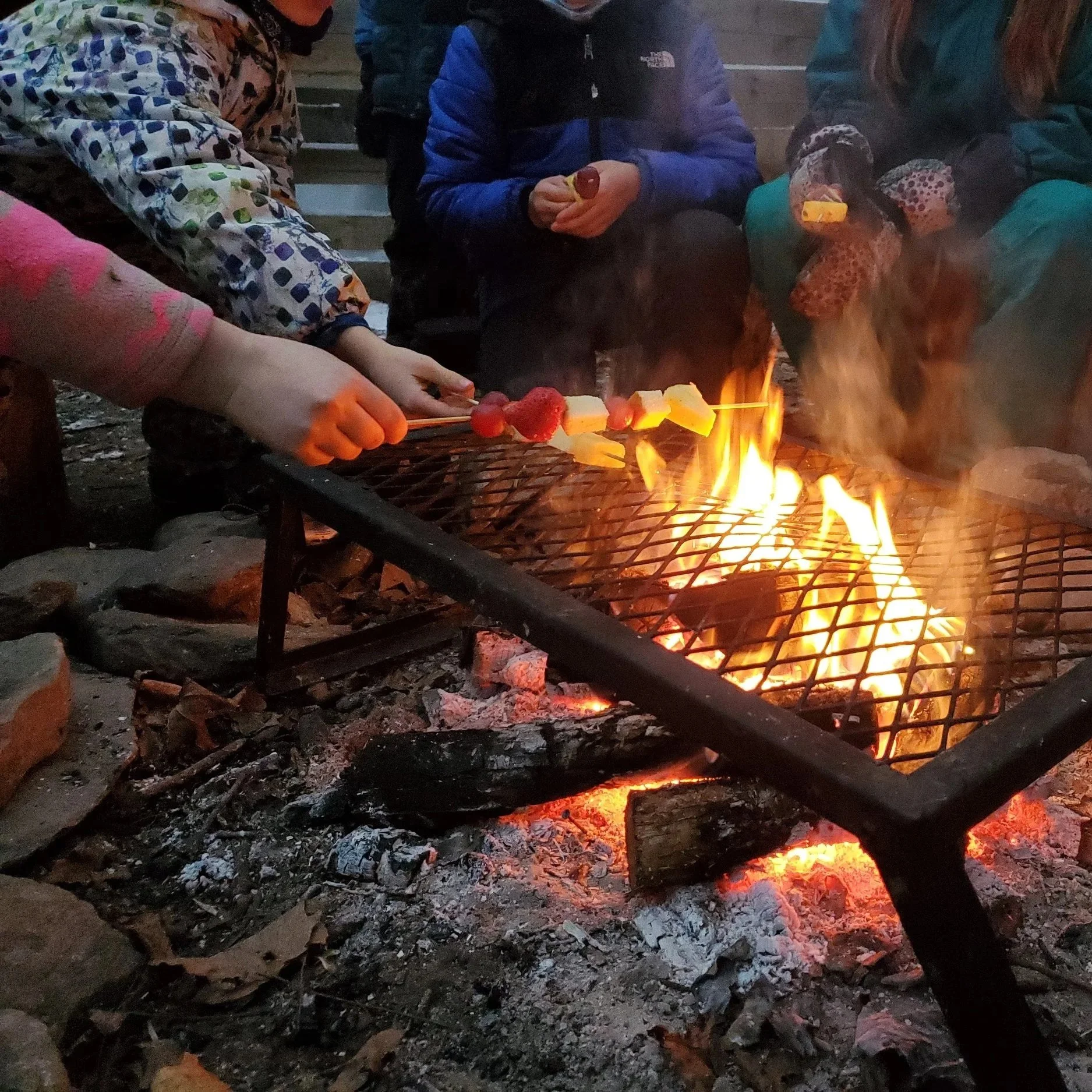 Champlain Valley VT: Cast Iron & Campfire Cooking with Young Learners