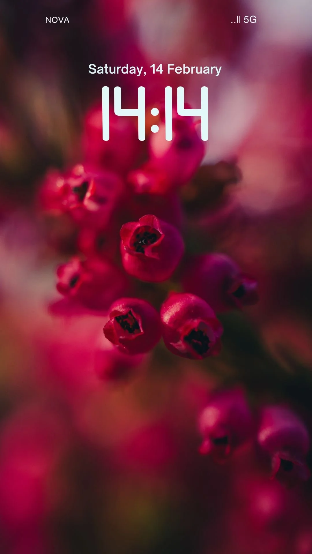 WALLPAPERS  (Mobile Video).jpg