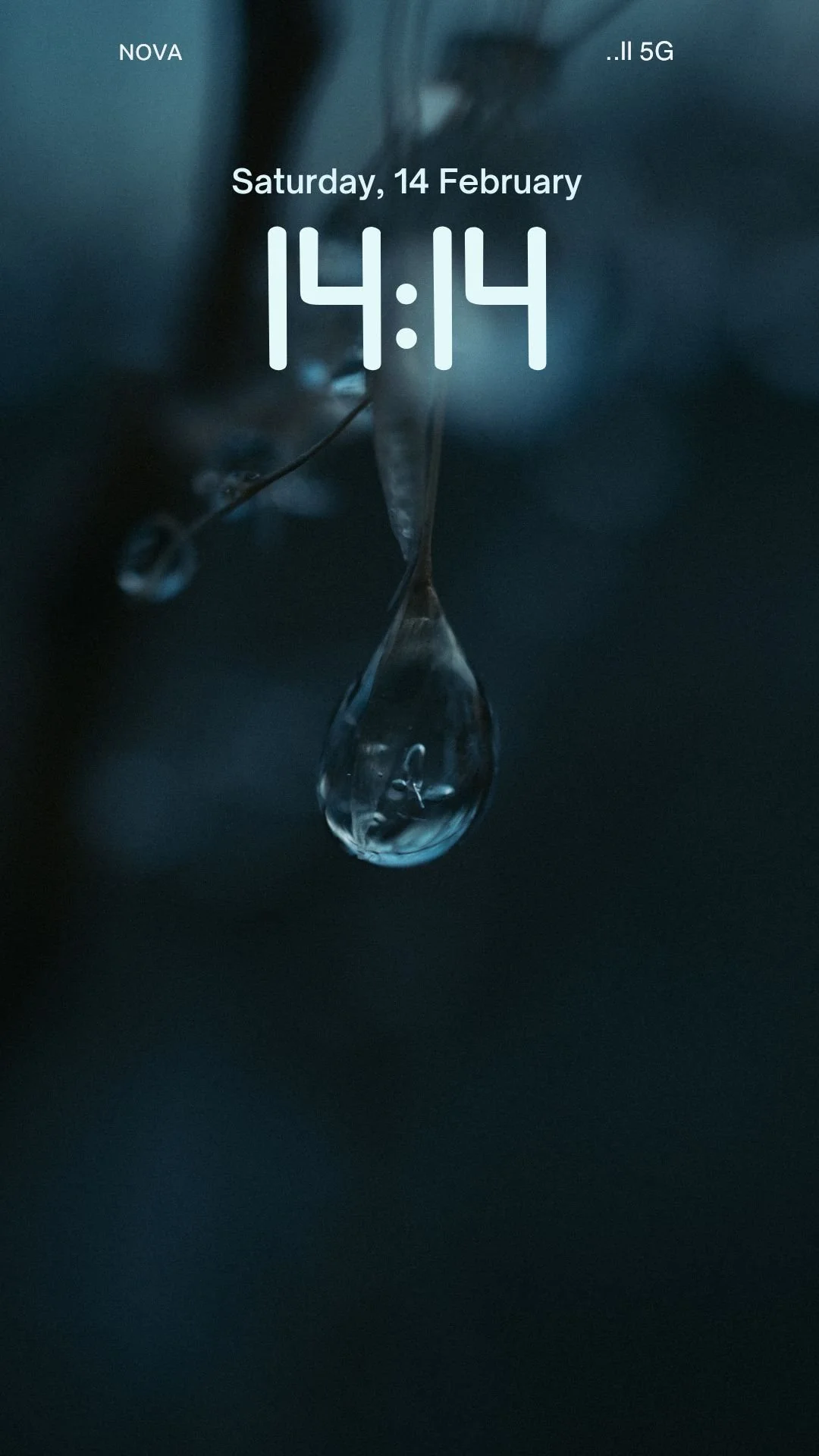 WALLPAPERS  (Mobile Video) (1).jpg