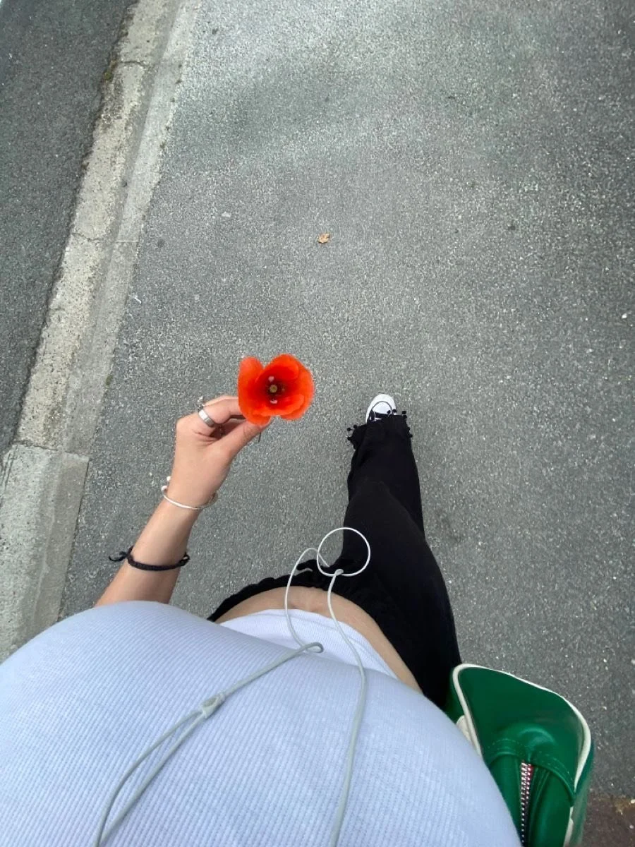 Healing Across Generations: Anzac Day's Role in Trauma Recovery