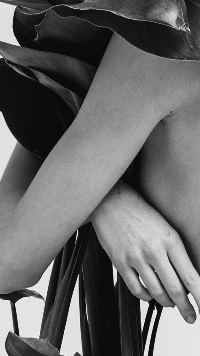 Macronutrients for Life: Gender and Age-Specific Benefits