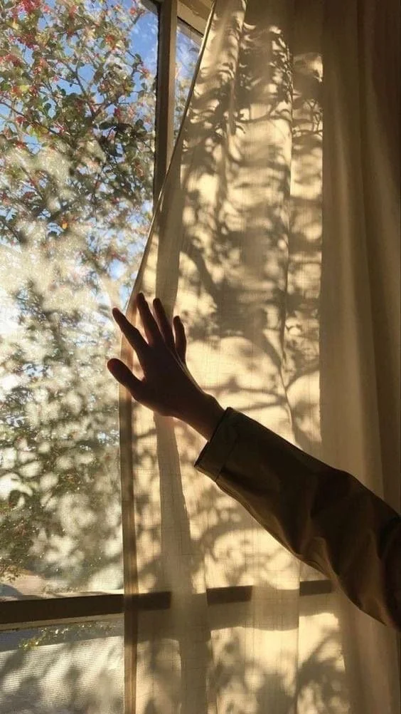 How Sensory Gratitude Pauses Train Your Brain for Resilient Calm