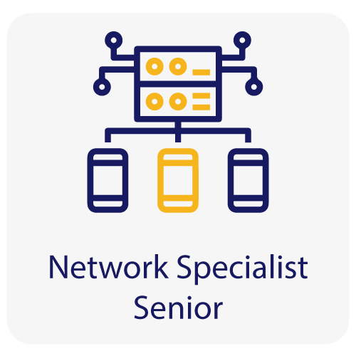 networking-specialist.png