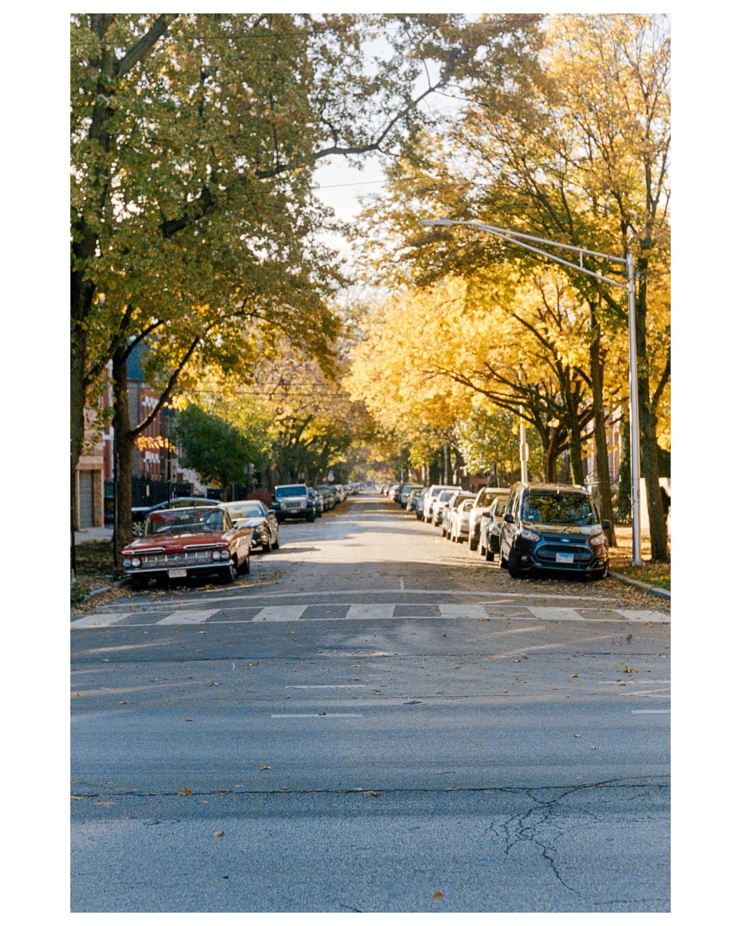 I lived in Chicago before I started shooting on film.

In November, I walked my old streets in Wicker Park with a camera in hand, paying attention to corners I used to pass every day and the way the light moved through the leaves. These are a few of 