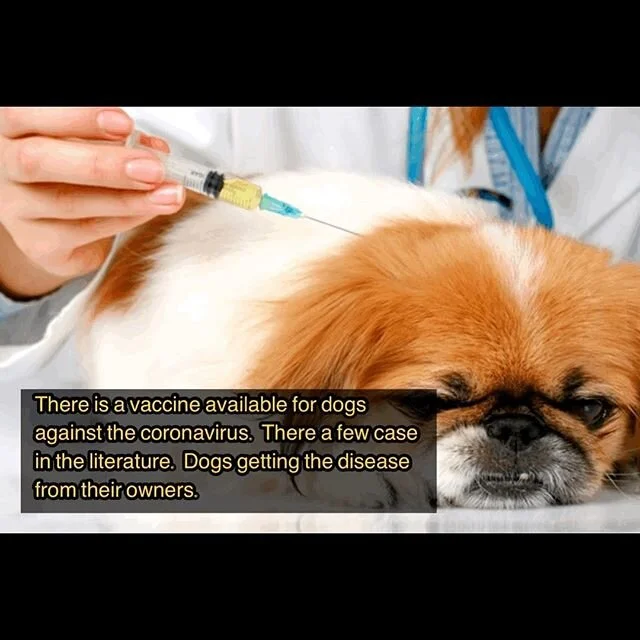 We are open everyday.
Mon-Fri 8.00am-6.00pm
Sat 8.00am-3.00pm
Sun 10.00am-3.00pm  Call for make an appointment 818.506.2550.  Visit our website www.boulevardpetclinic.net