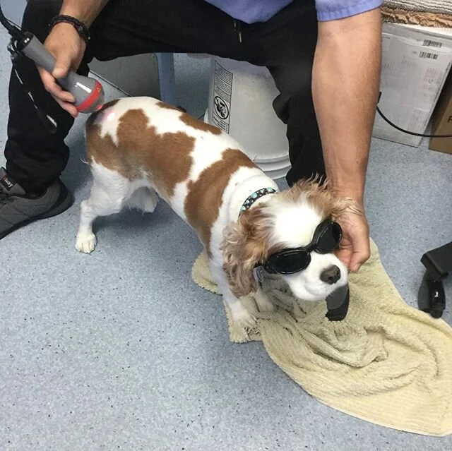 Laser therapy is available. Call for more information 818.506.2440