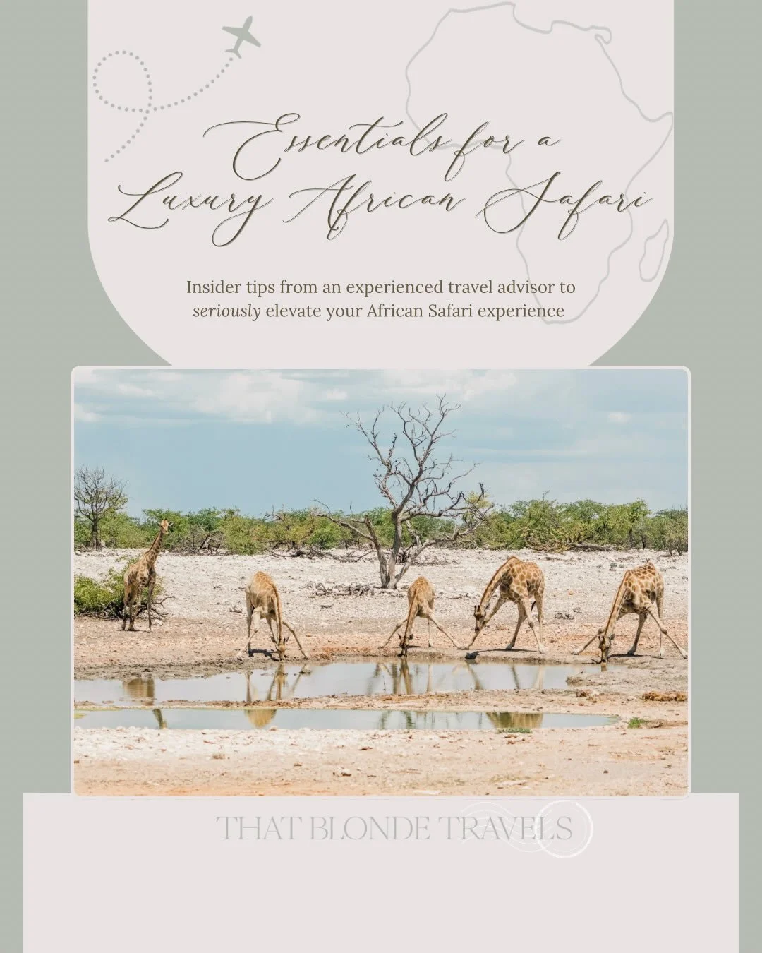 Save this for your African Safari 📸🐘🌾

The difference between a good safari and one that completely changes how you see the world? It&rsquo;s all in the details. ✨

I&rsquo;m heading back to Africa in May, and each time I go I&rsquo;m reminded tha