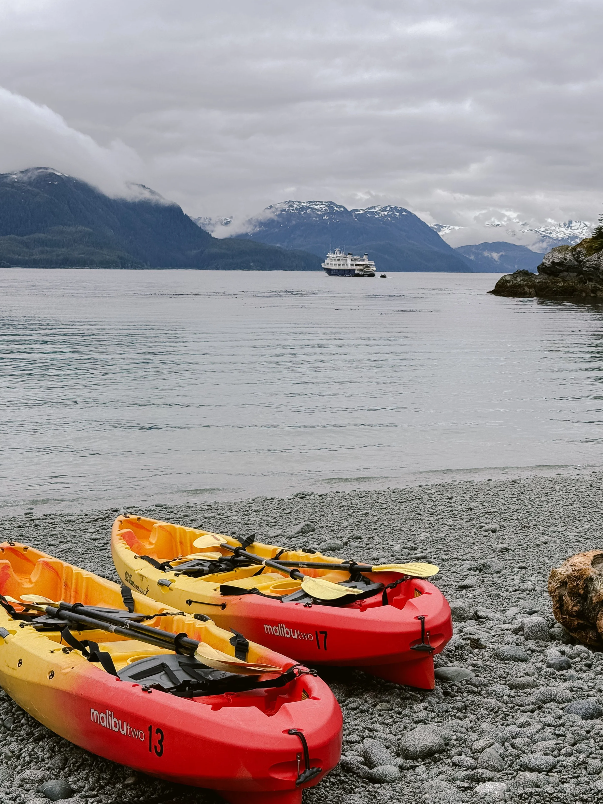 Nat Geo Lindblad Sea lion