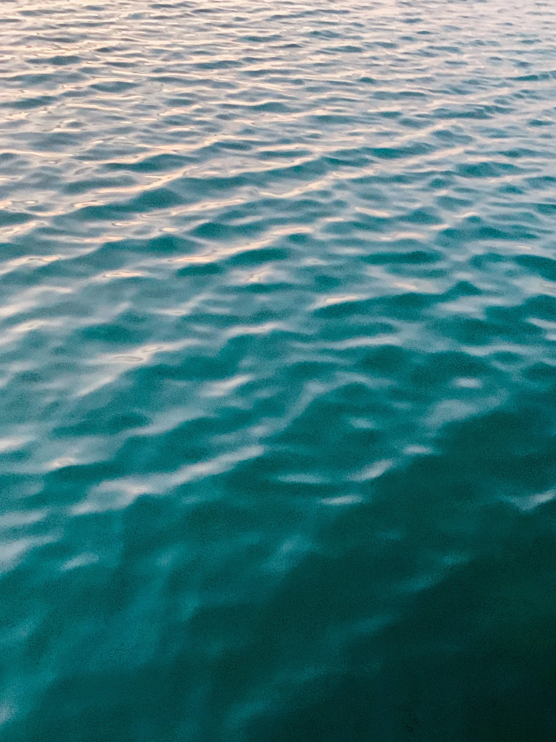 Wave Season Is Here: The Best Cruise Deals of the Year (And Who They’re Best For)