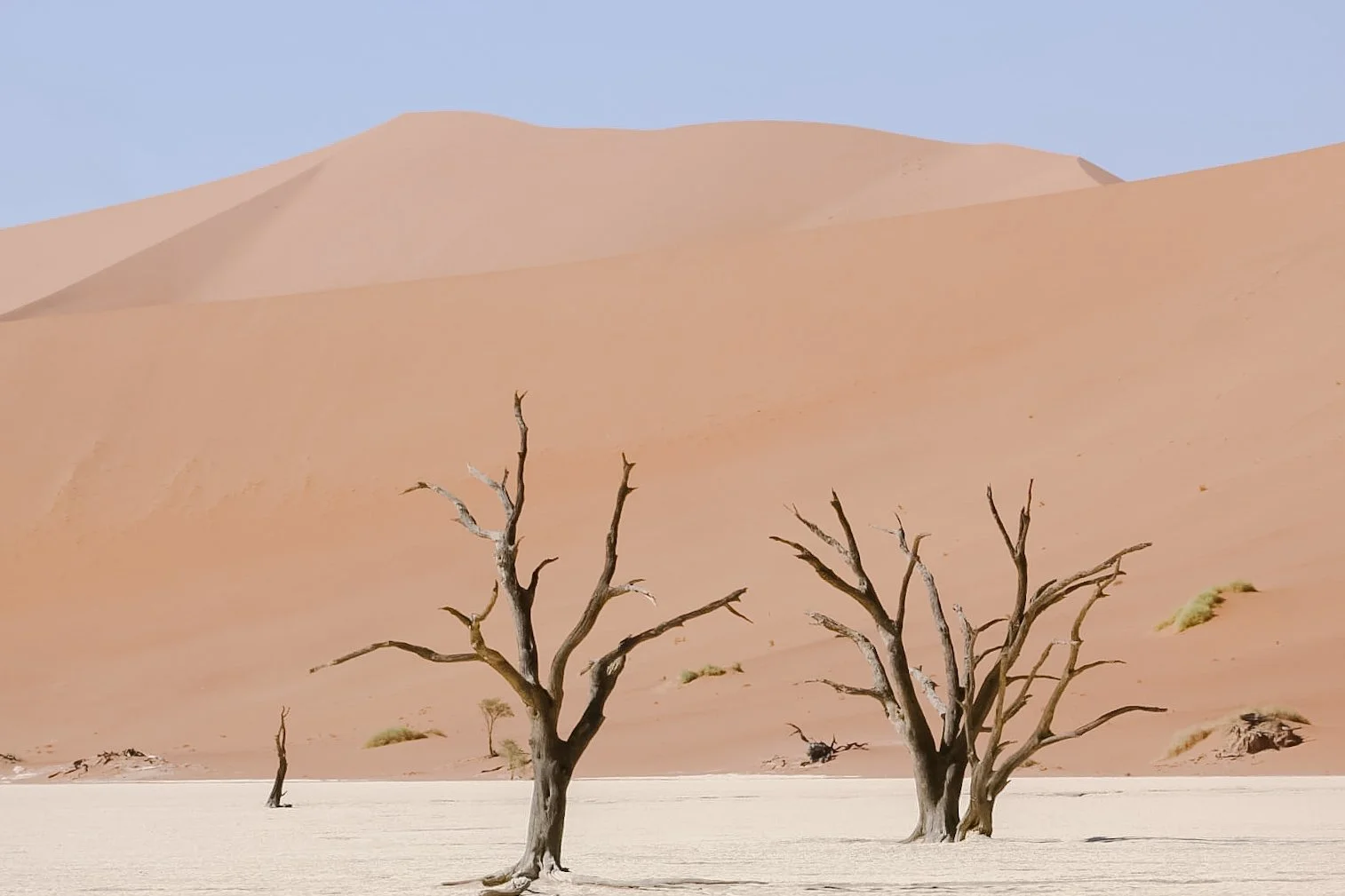 Highlights of Namibia