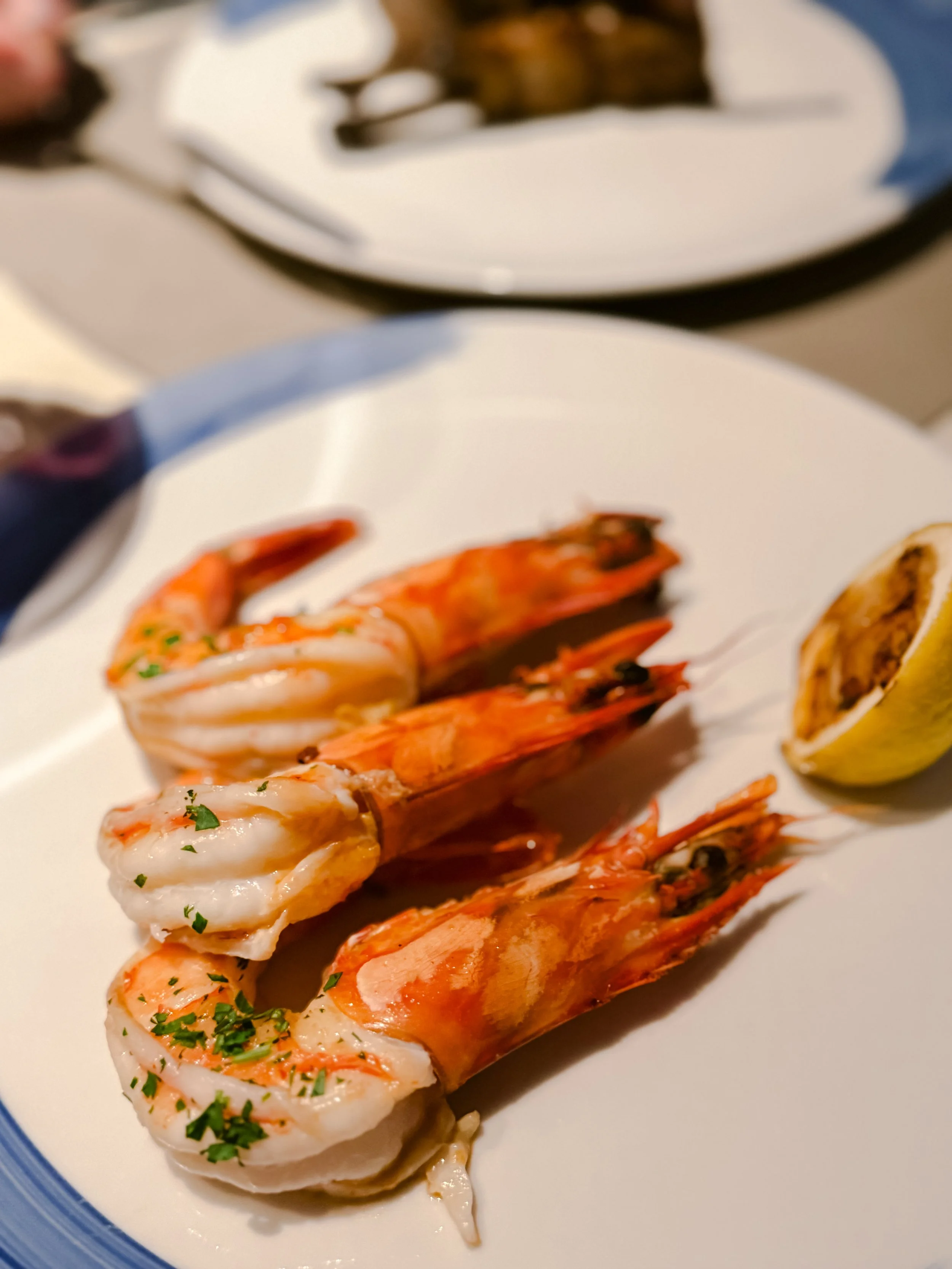 Ritz Carlton Yacht Ilma