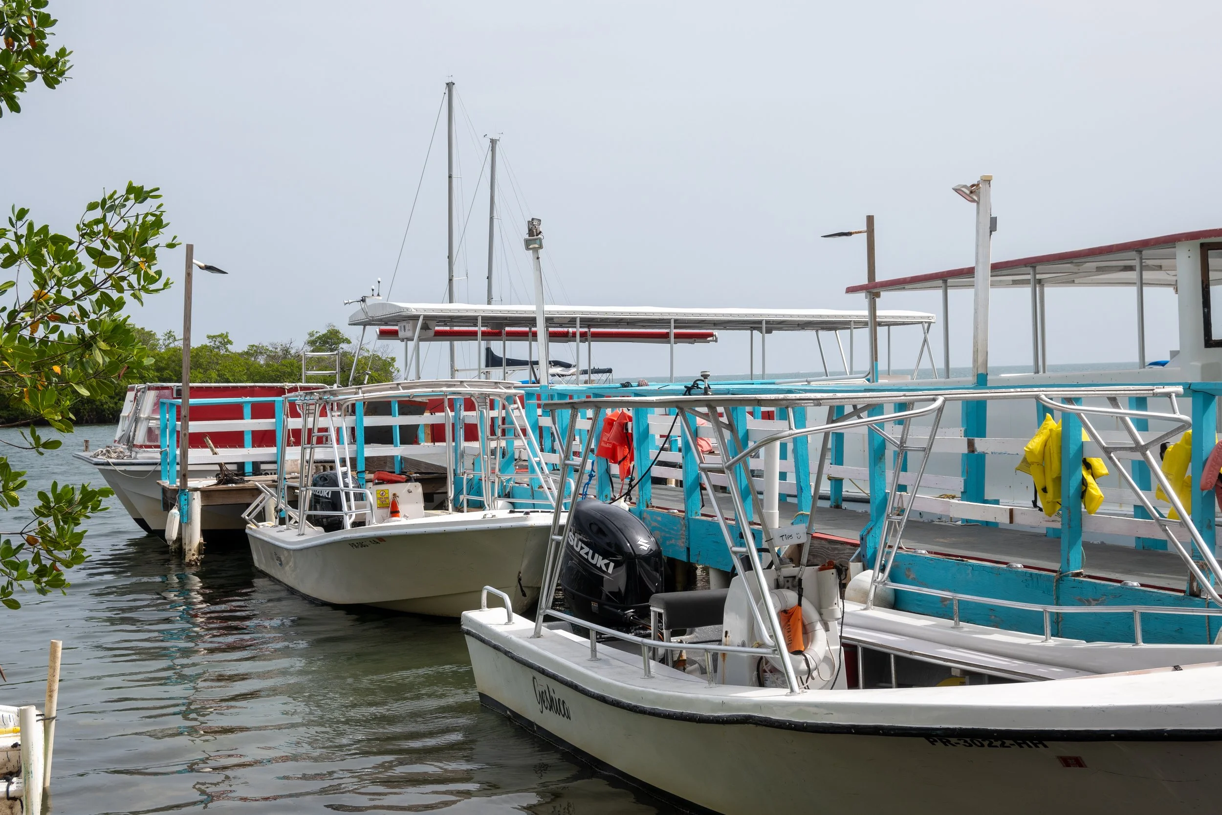 DSC_0719.jpg