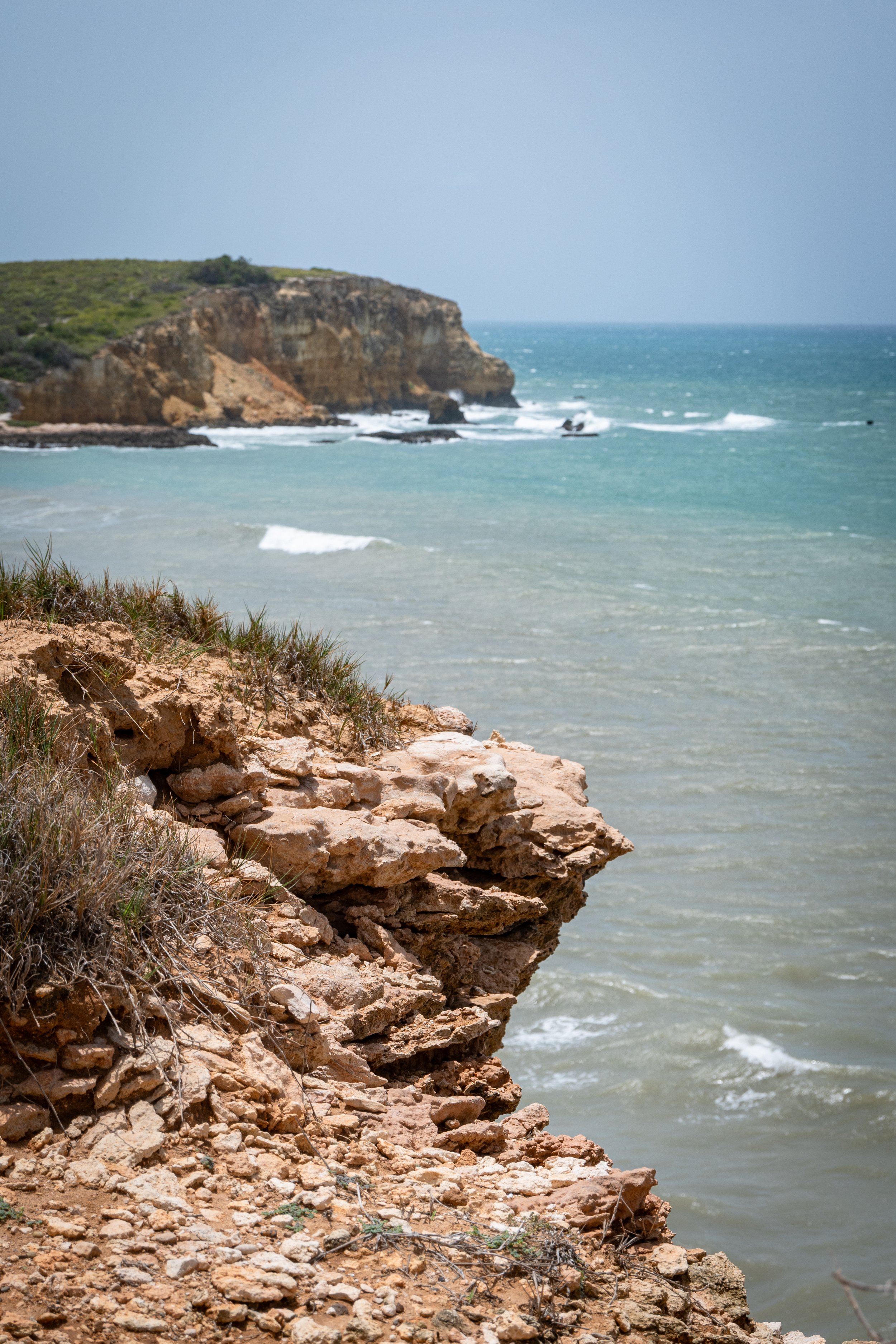 DSC_0653.jpg