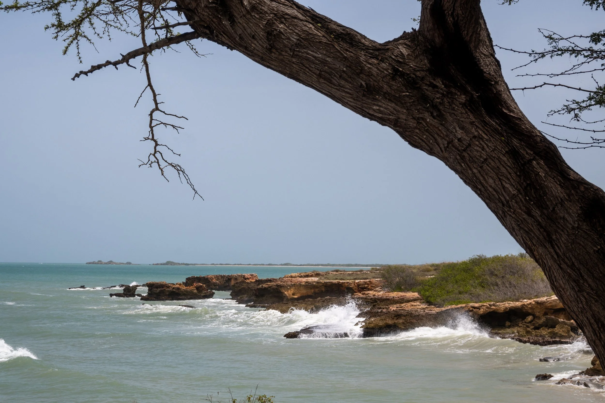 DSC_0704.jpg