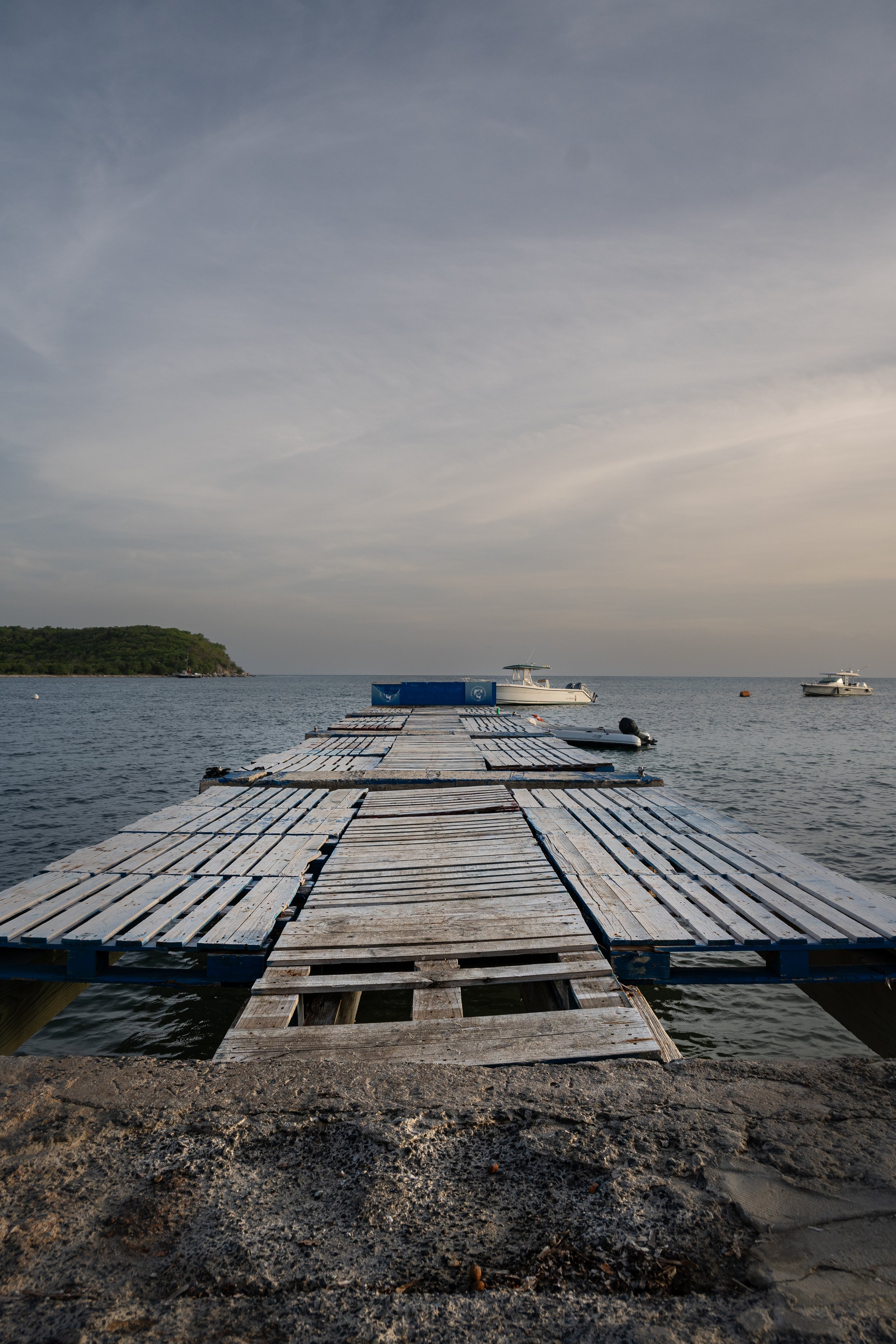 DSC_0504.jpg