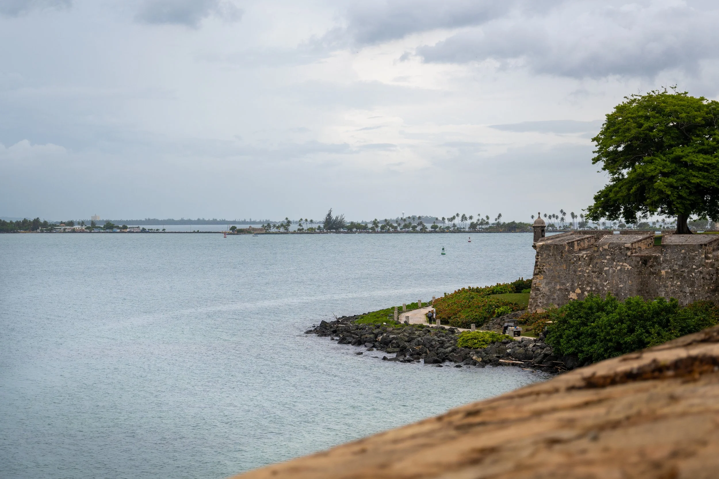 DSC_0602.jpg