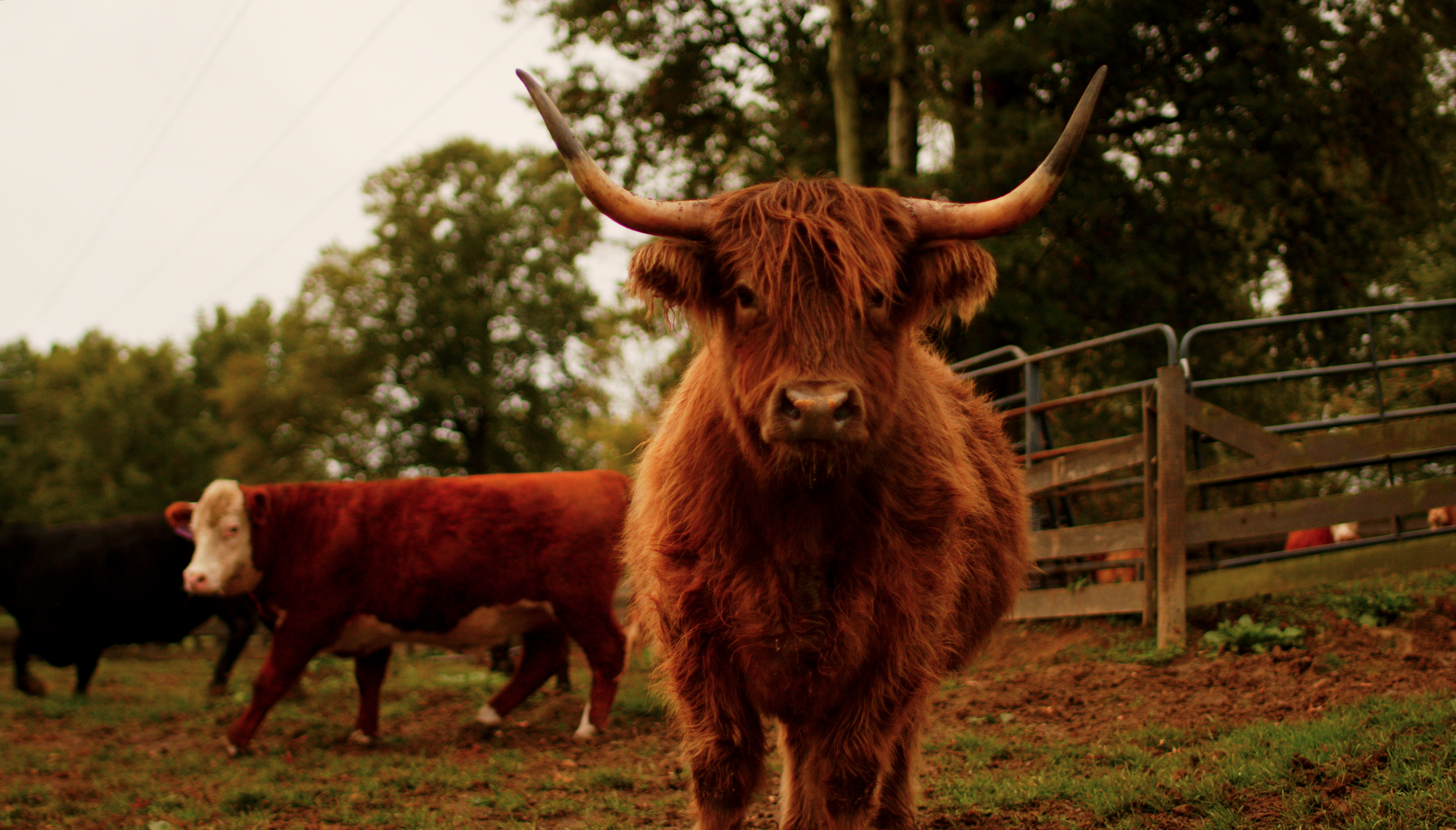 Screenshot 2026-04-01 at 12.45.31 PM.png