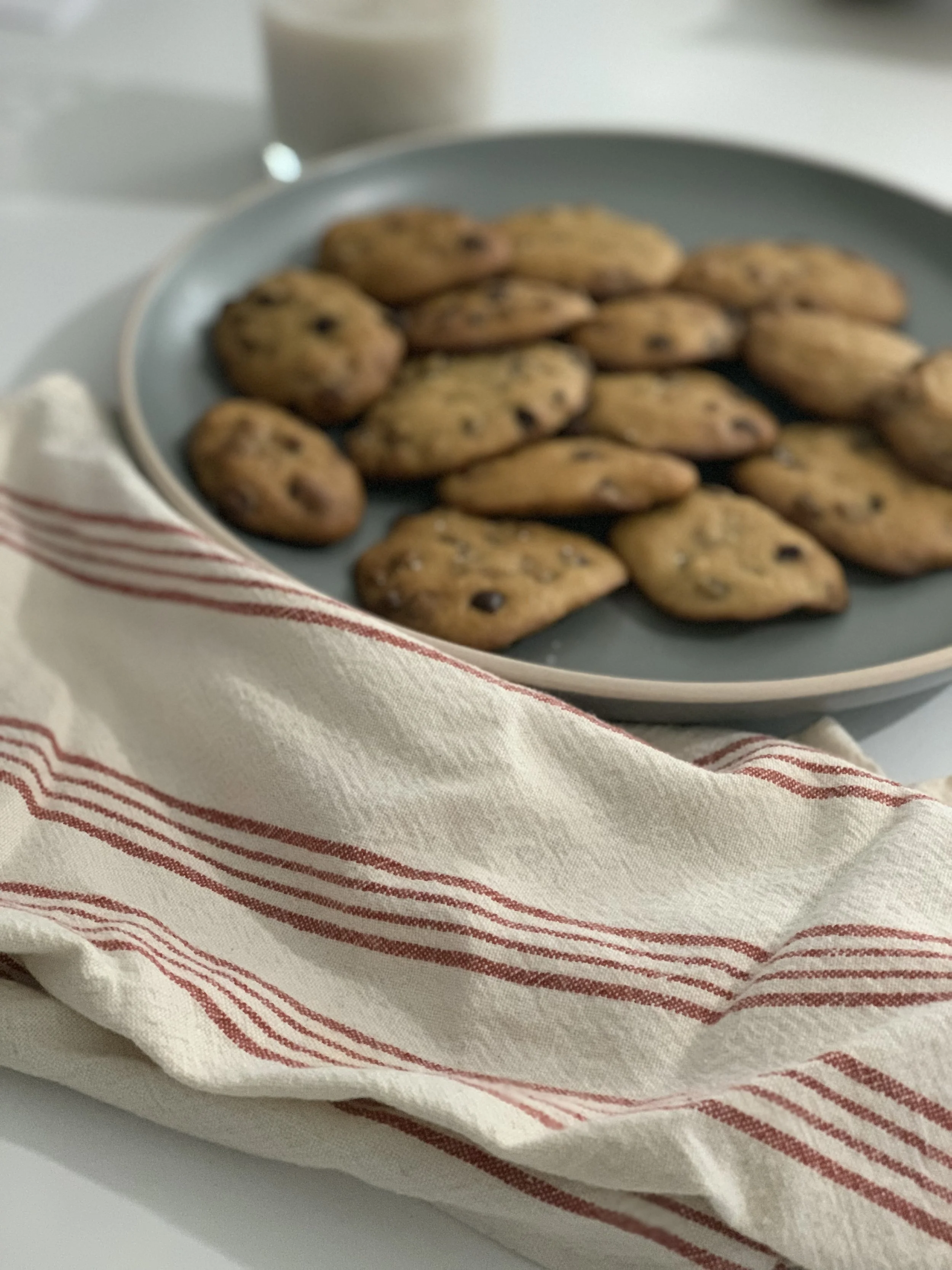 Coconut Flour Chocolate Chip Cookies