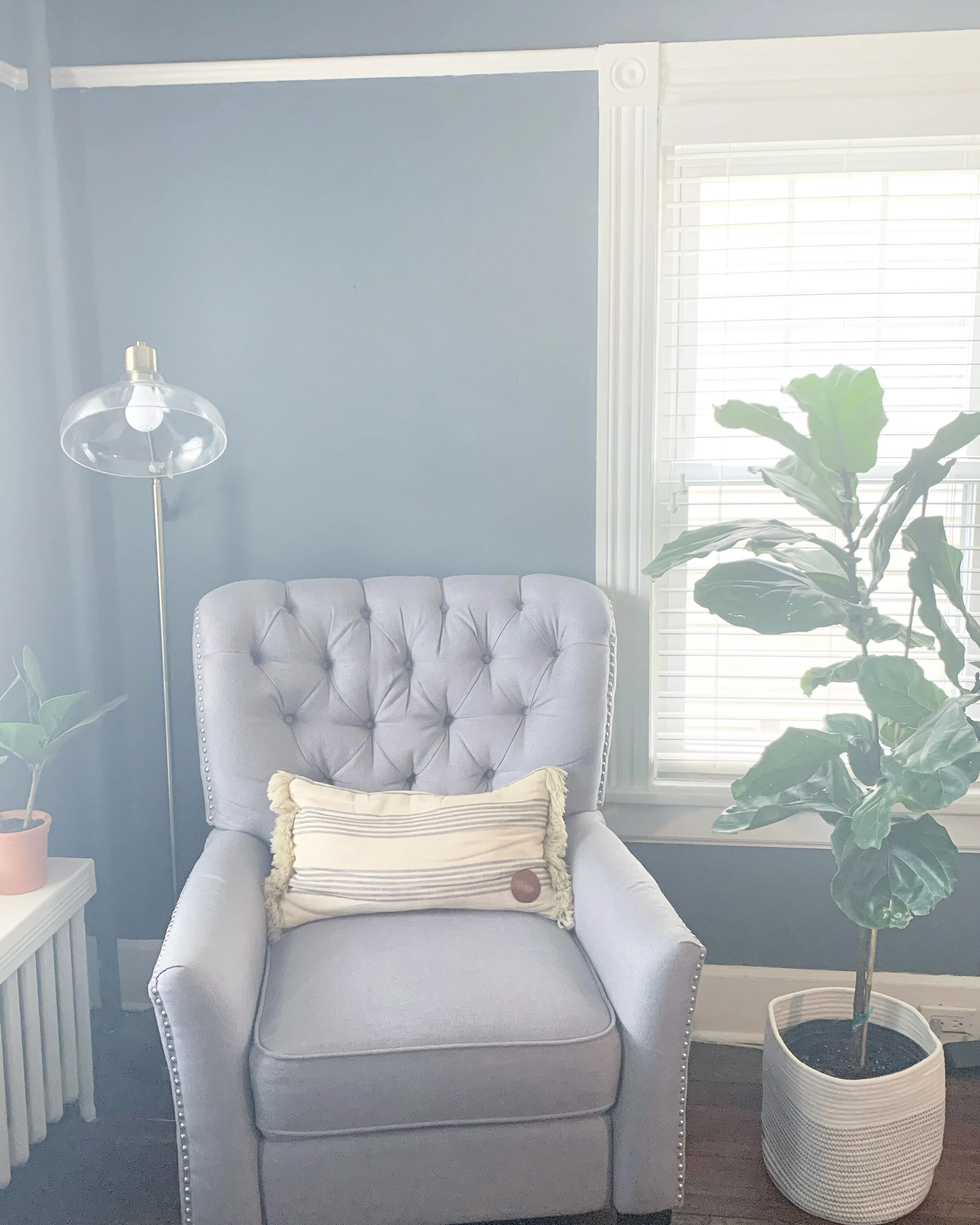 Five Health Benefits of Indoor Plants &amp; Where to Buy 