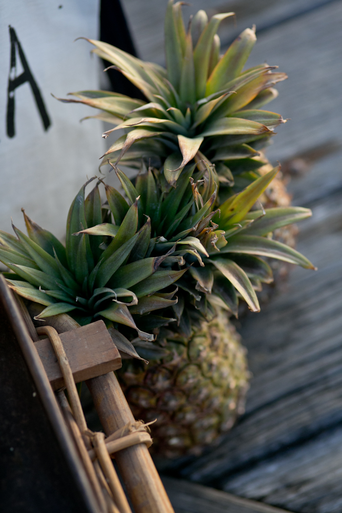  Beautiful Spaces Engagement event styling Tom &amp; Emily 1 