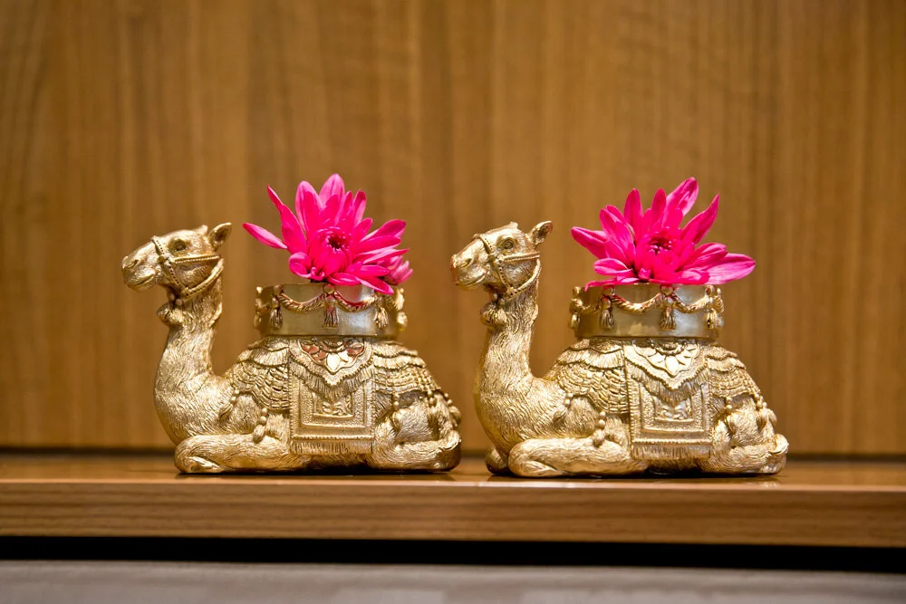 Matt and Charli 10.JPG