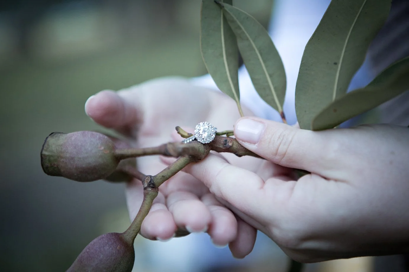  Beautiful Spaces Centennial Park engagement event styling 15 