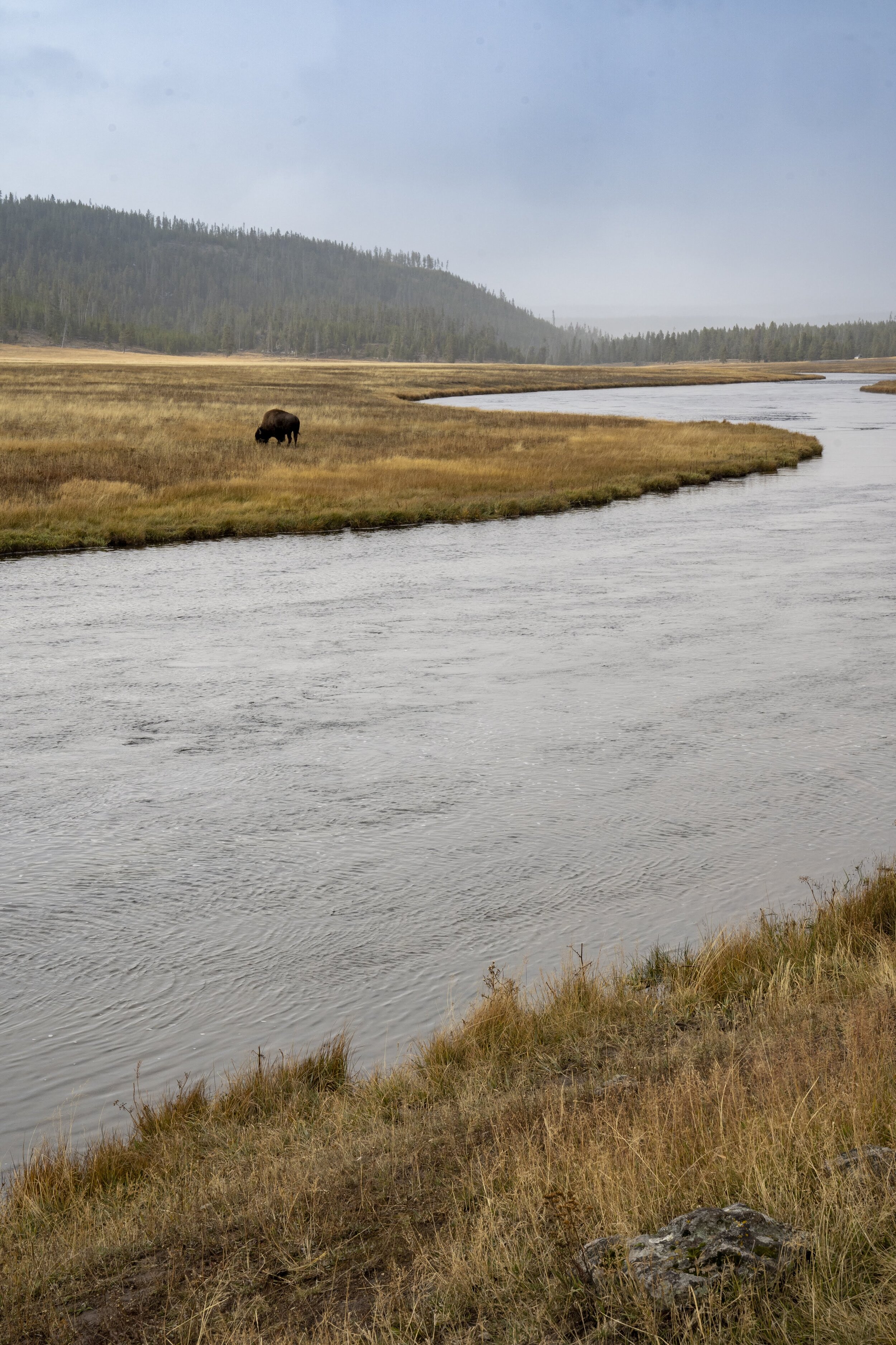 Yellowstone-Grand_Teton-09796.jpg