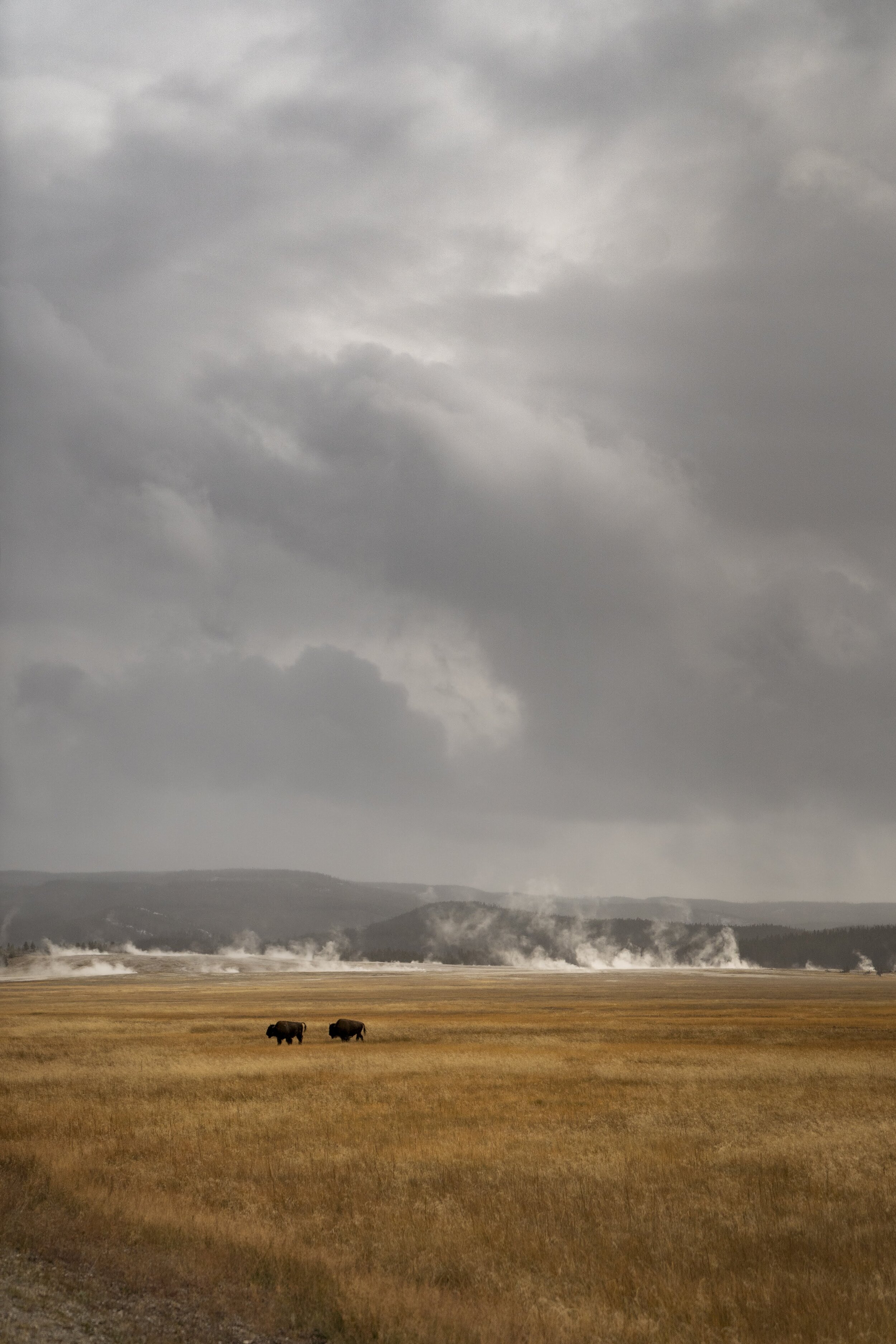 Yellowstone-Grand_Teton-09971.jpg