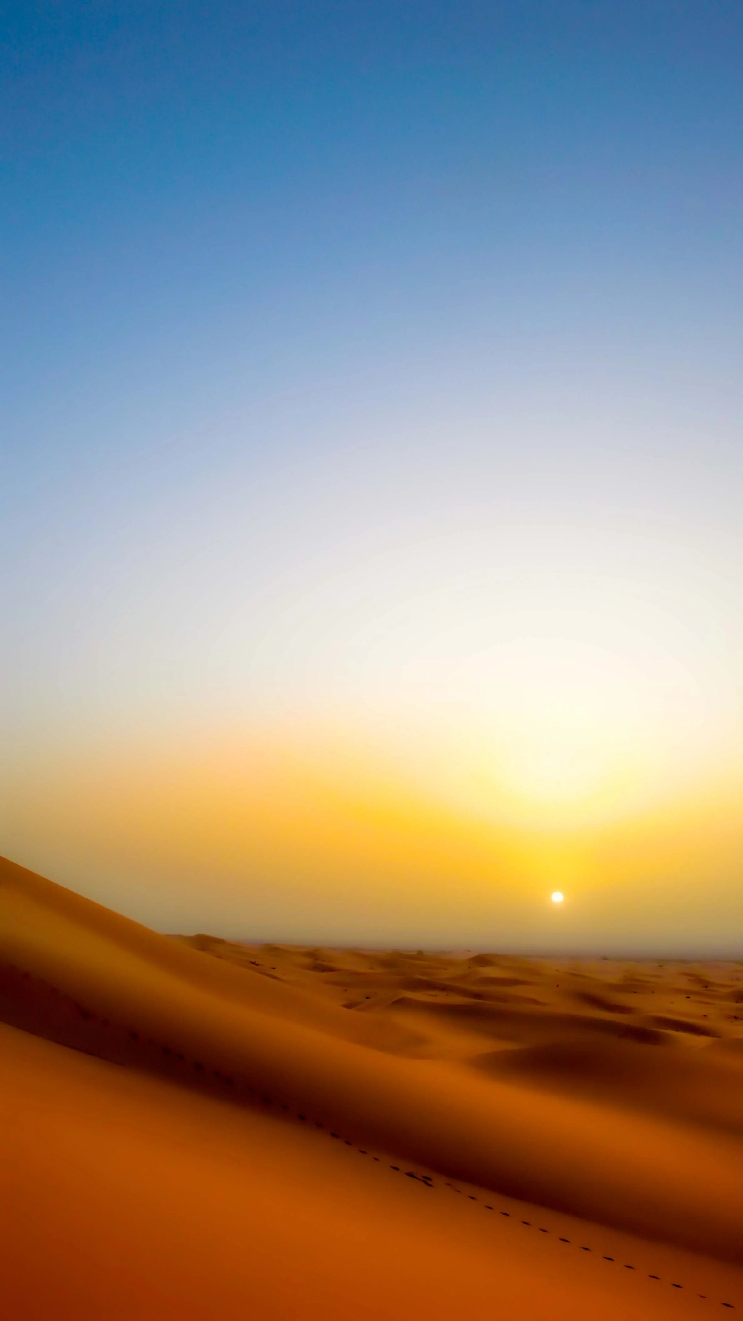 sahara morning.jpg