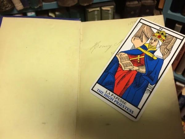 THE HIGH PRIESTESS - SHE JUST KEEPS POPPING UP.
