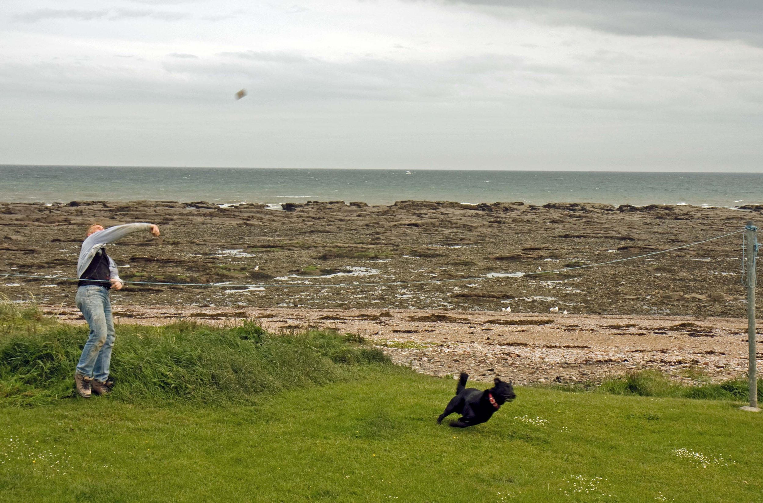 North Sea coast in Arbroath