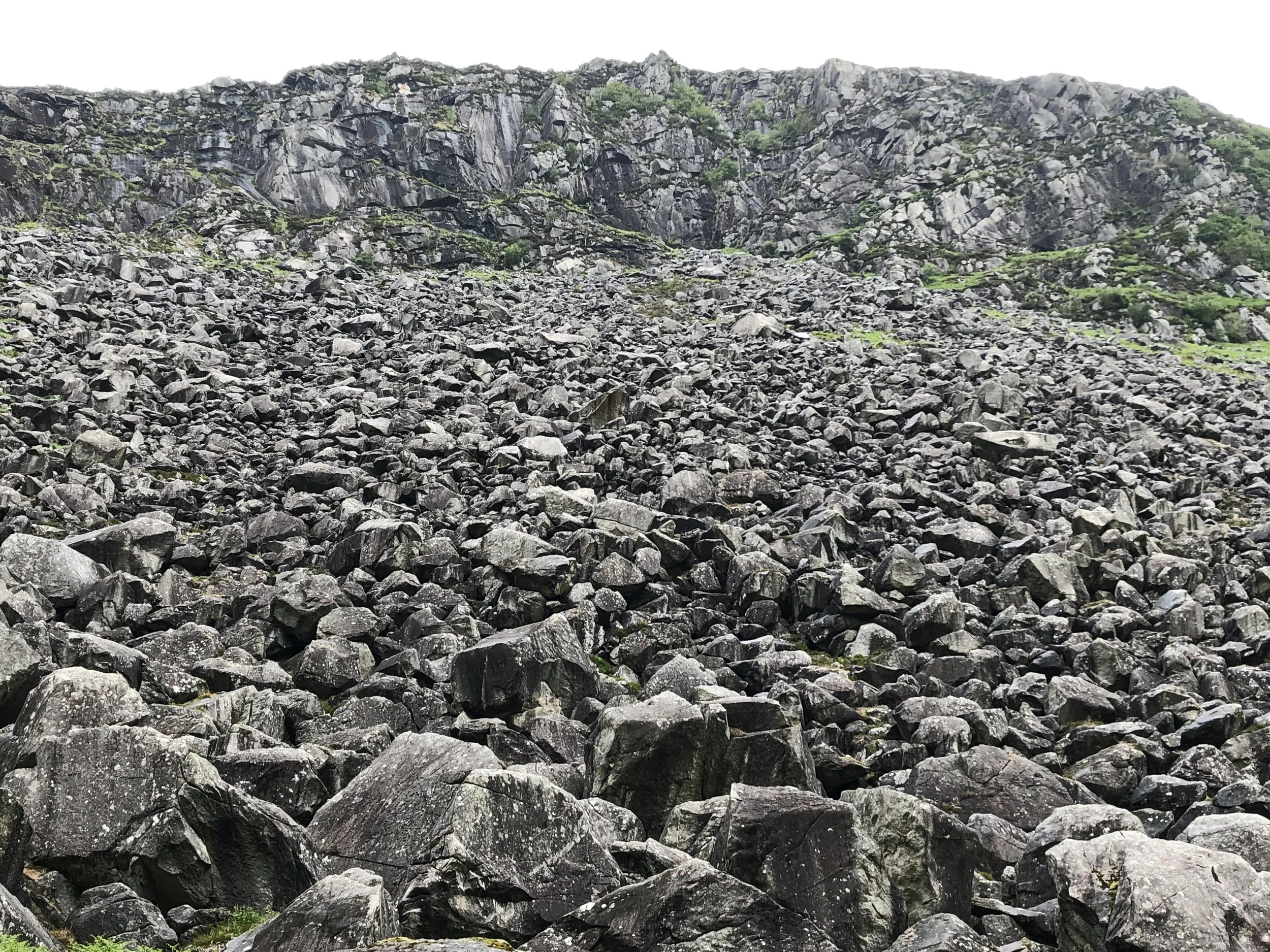 Wicklow Mountains National Park