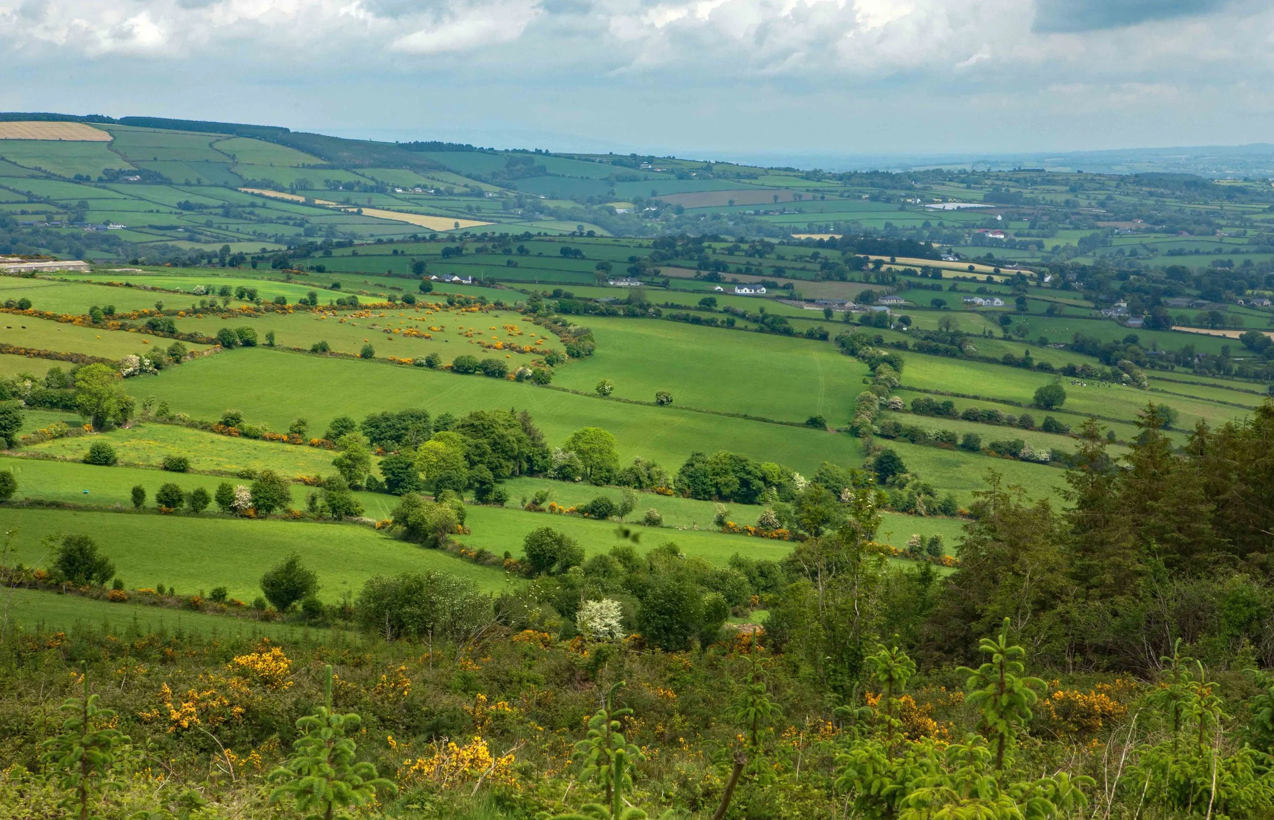 View from Brandon Hill, highest point in County Kilkenny