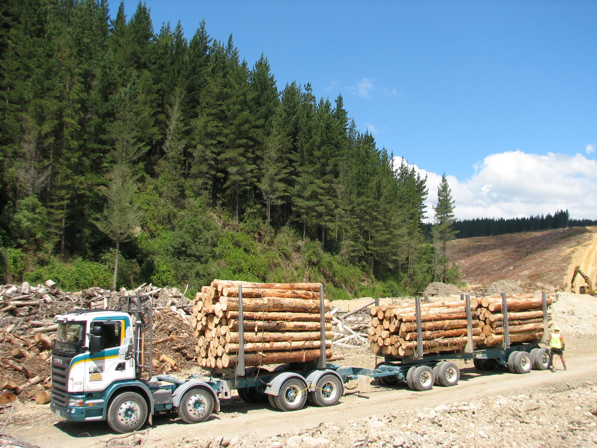 Copy (2) of Picture 794.jpg