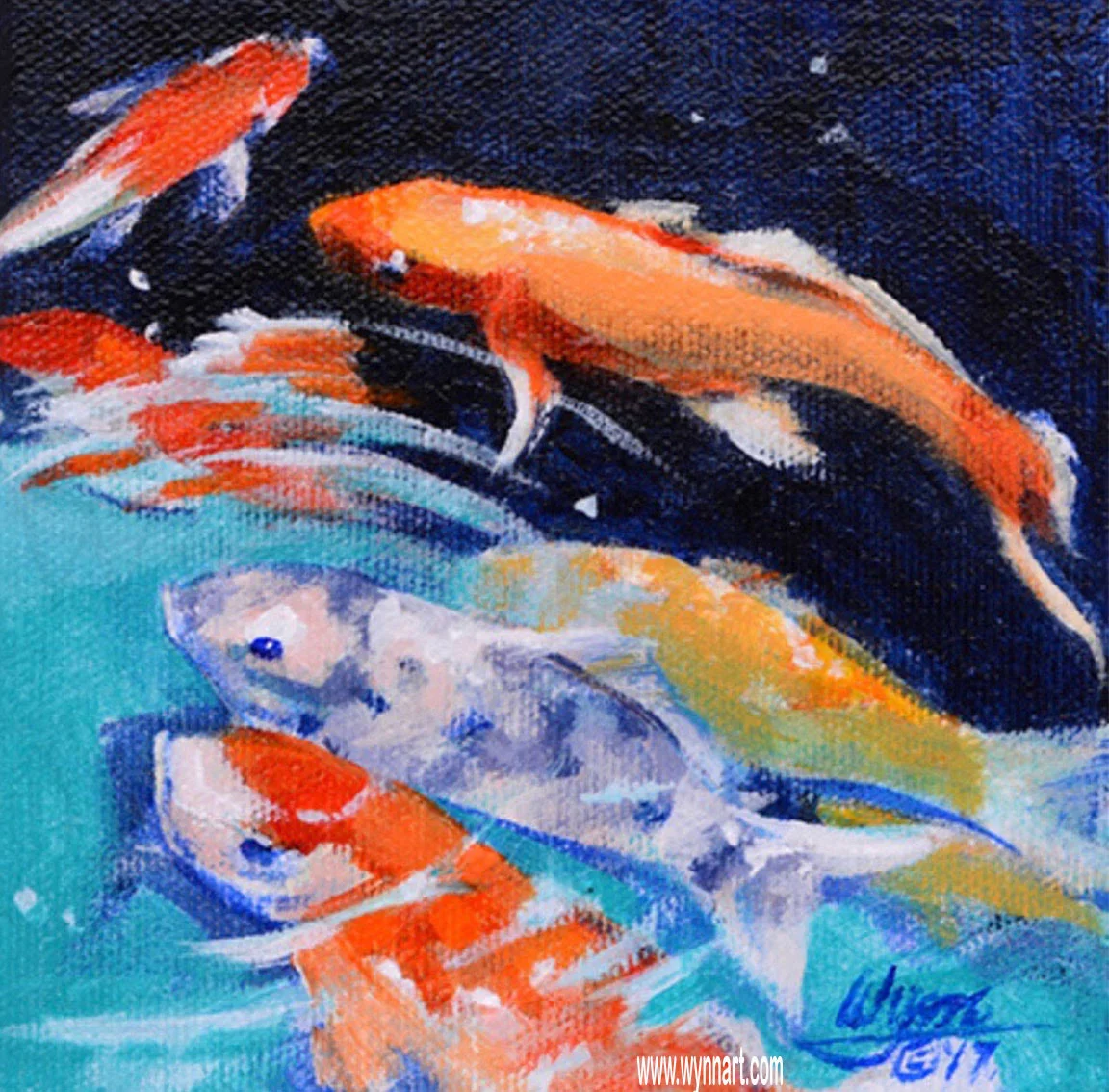 Curious Koi