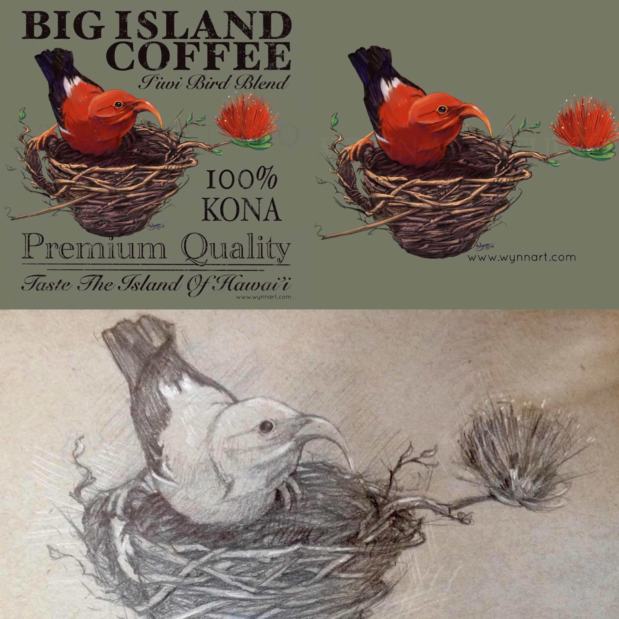 The magical Island of Hawaii, where the i’iwi bird, ohia-lehua and Kona coffee grow.