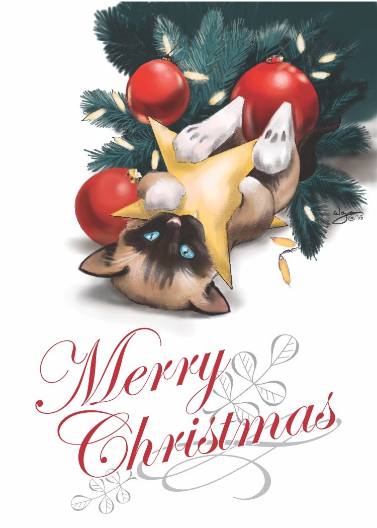 Christmas 2015 Sam card.jpeg