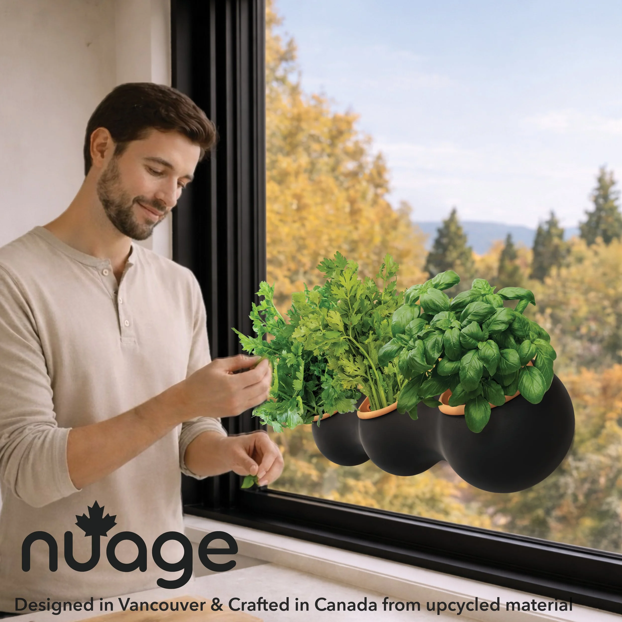 NUAGE Window HBT.jpg