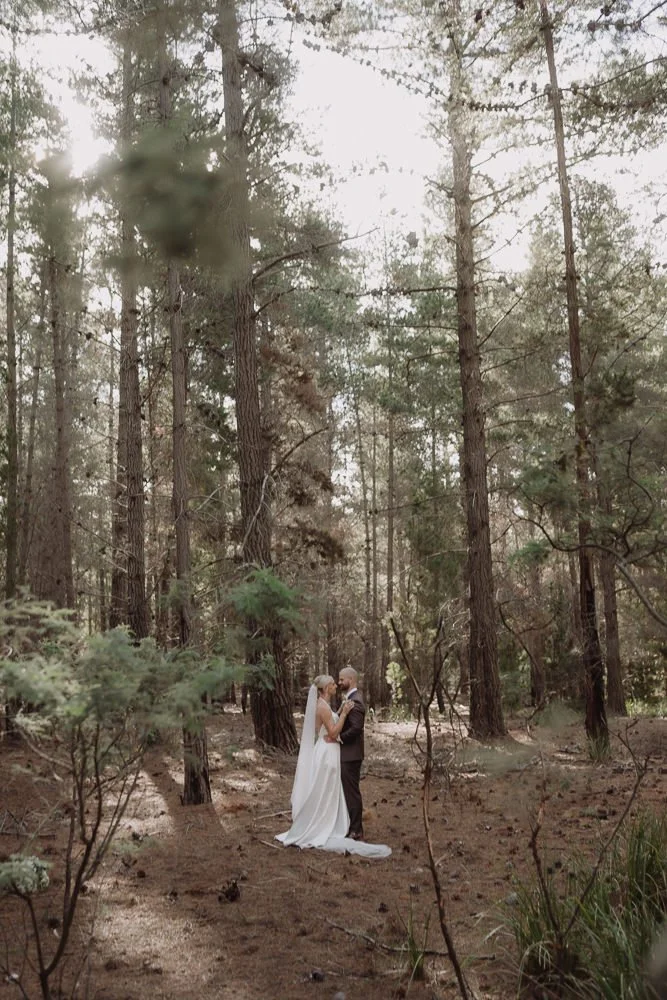A bride in a white wedding gown and a groom in a black suit standing close together and holding hands in a forest with tall trees and sunlight filtering through.