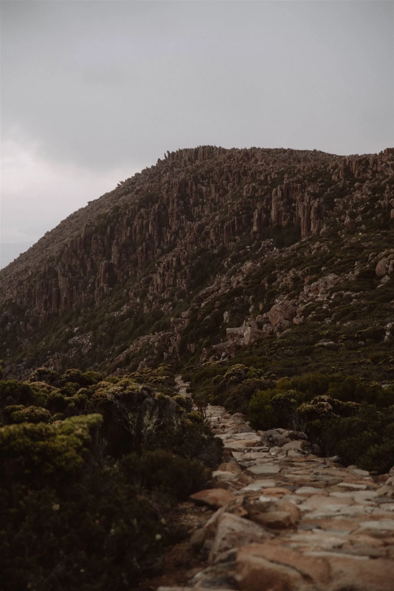 mount wellington organ pipes