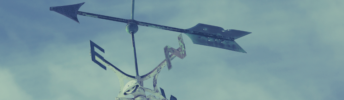 Copy of ZIPWIRE-3.png