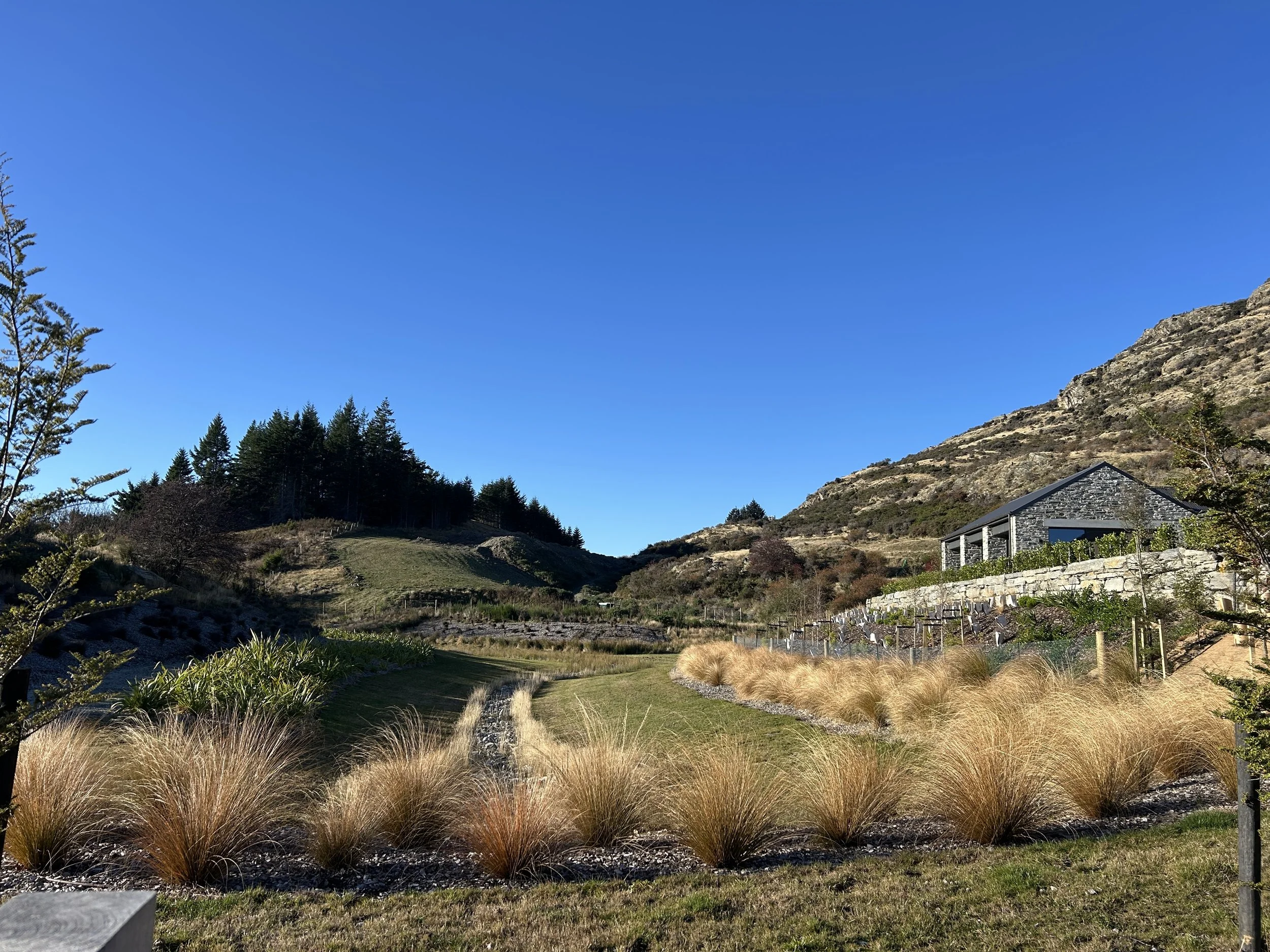 Peninsula Hill