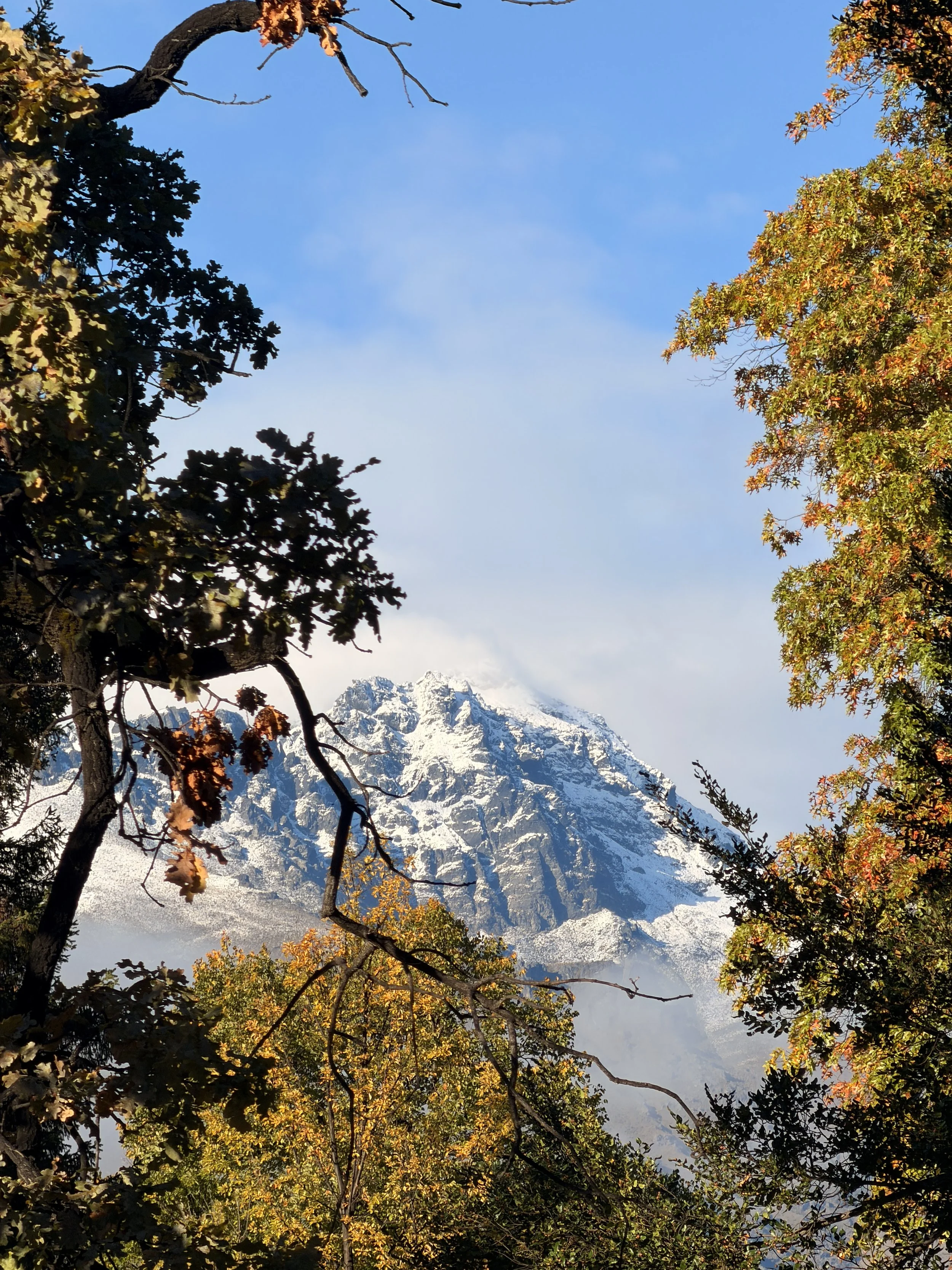 Snow-covered mountain in Queenstown with autumn foliage in the foreground